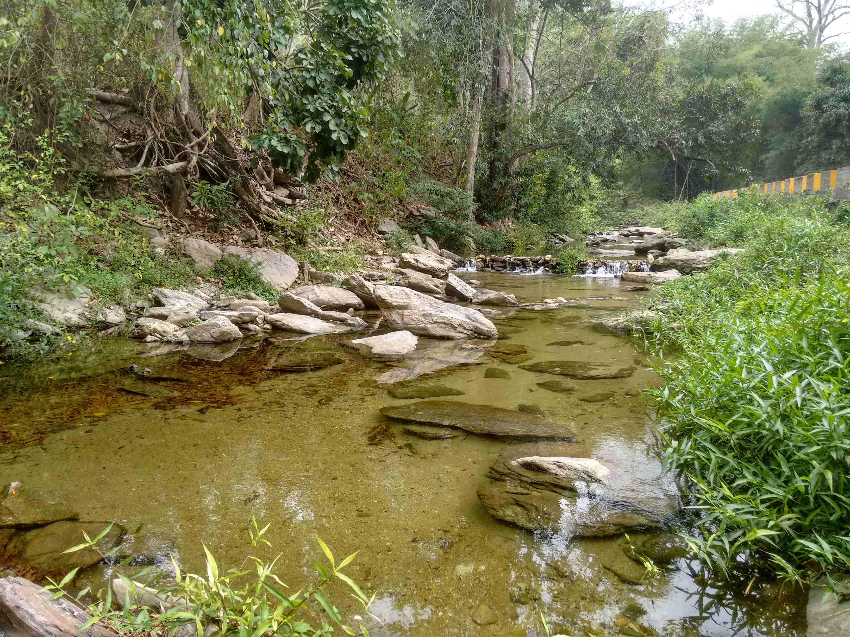 Rio Ocumare, por Dagoberto Bastardo