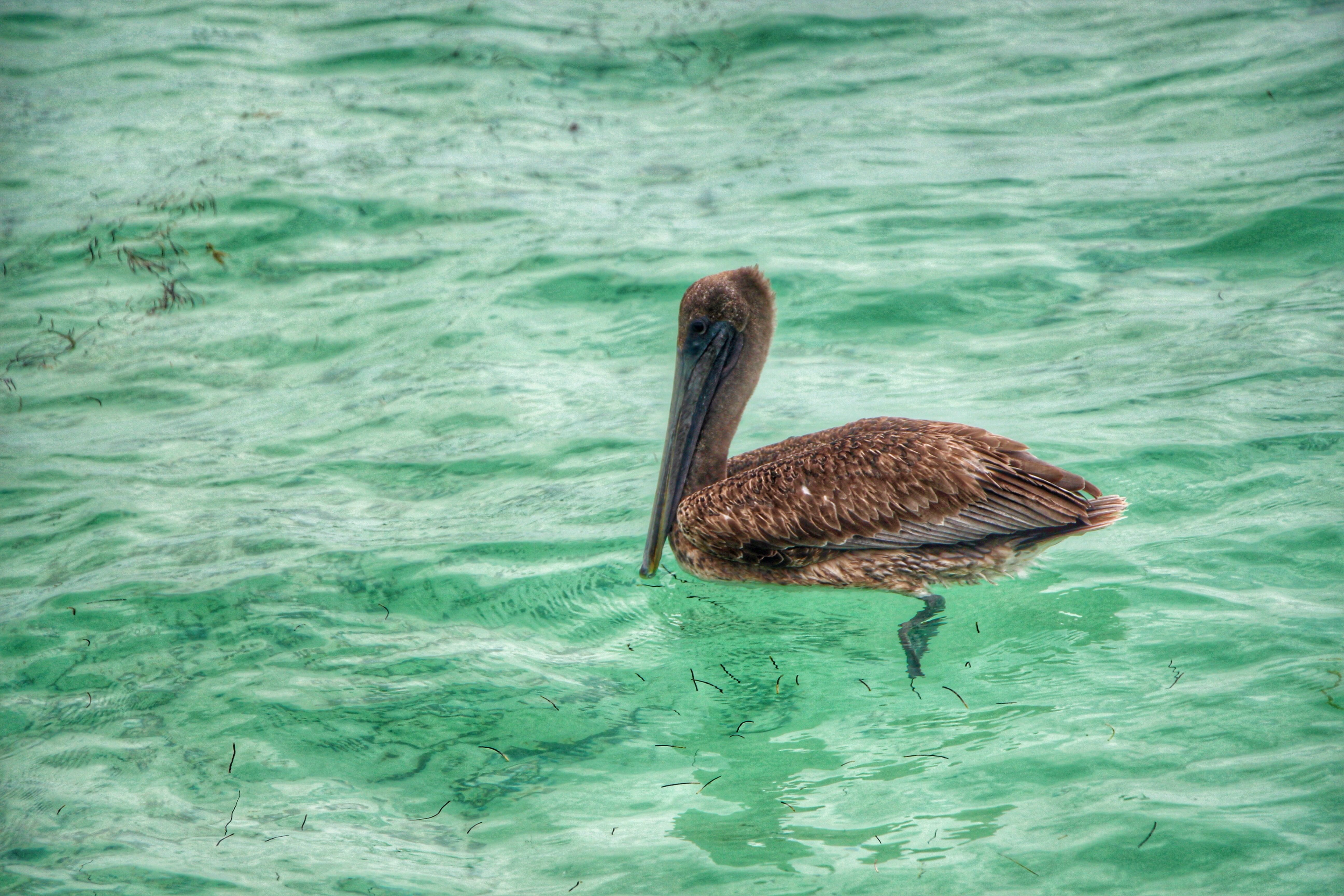 Rutas de Quintana Roo para explorar el Caribe mexicano en su esplendor