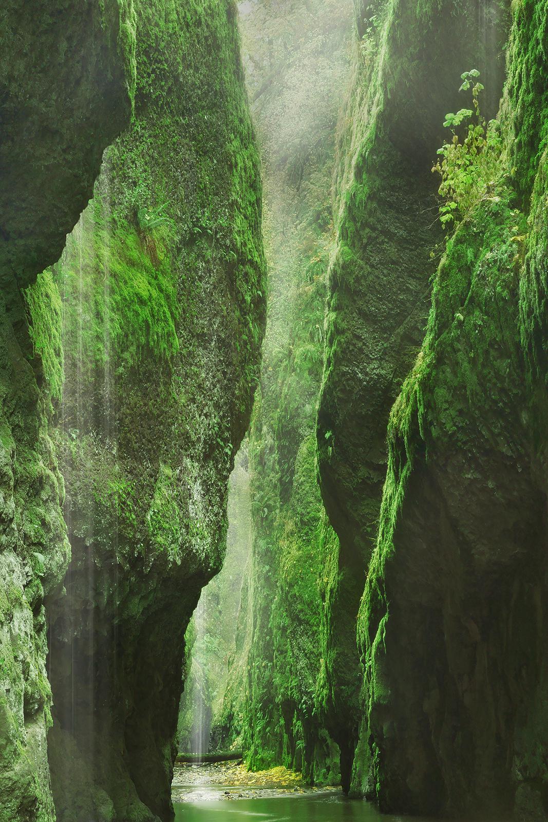 Cañón del Río Columbia (Columbia River Gorge), por Craig Bill
