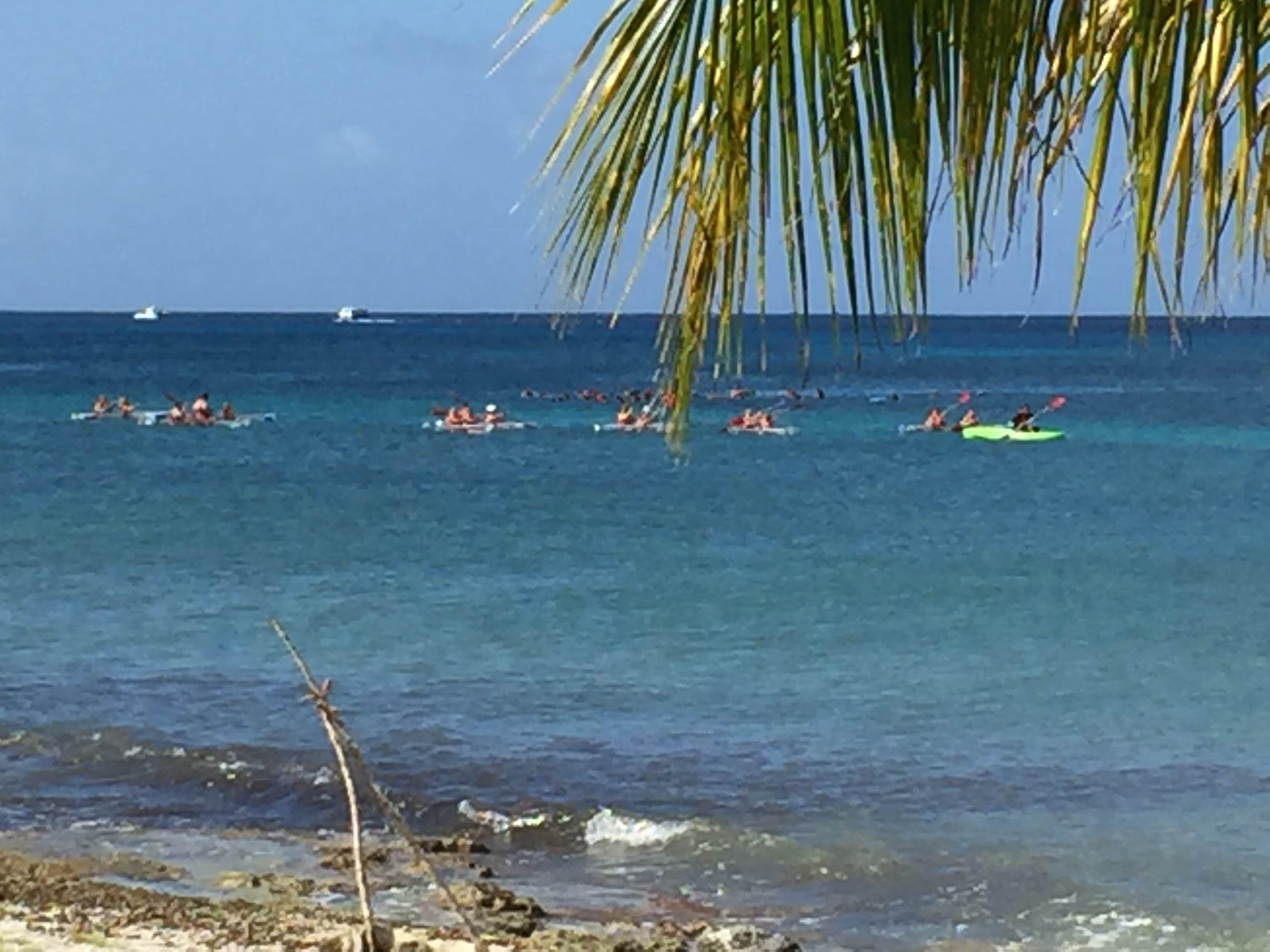 Parque Nacional Arrecife de Cozumel, por Diana Patricia Montemayor Flores