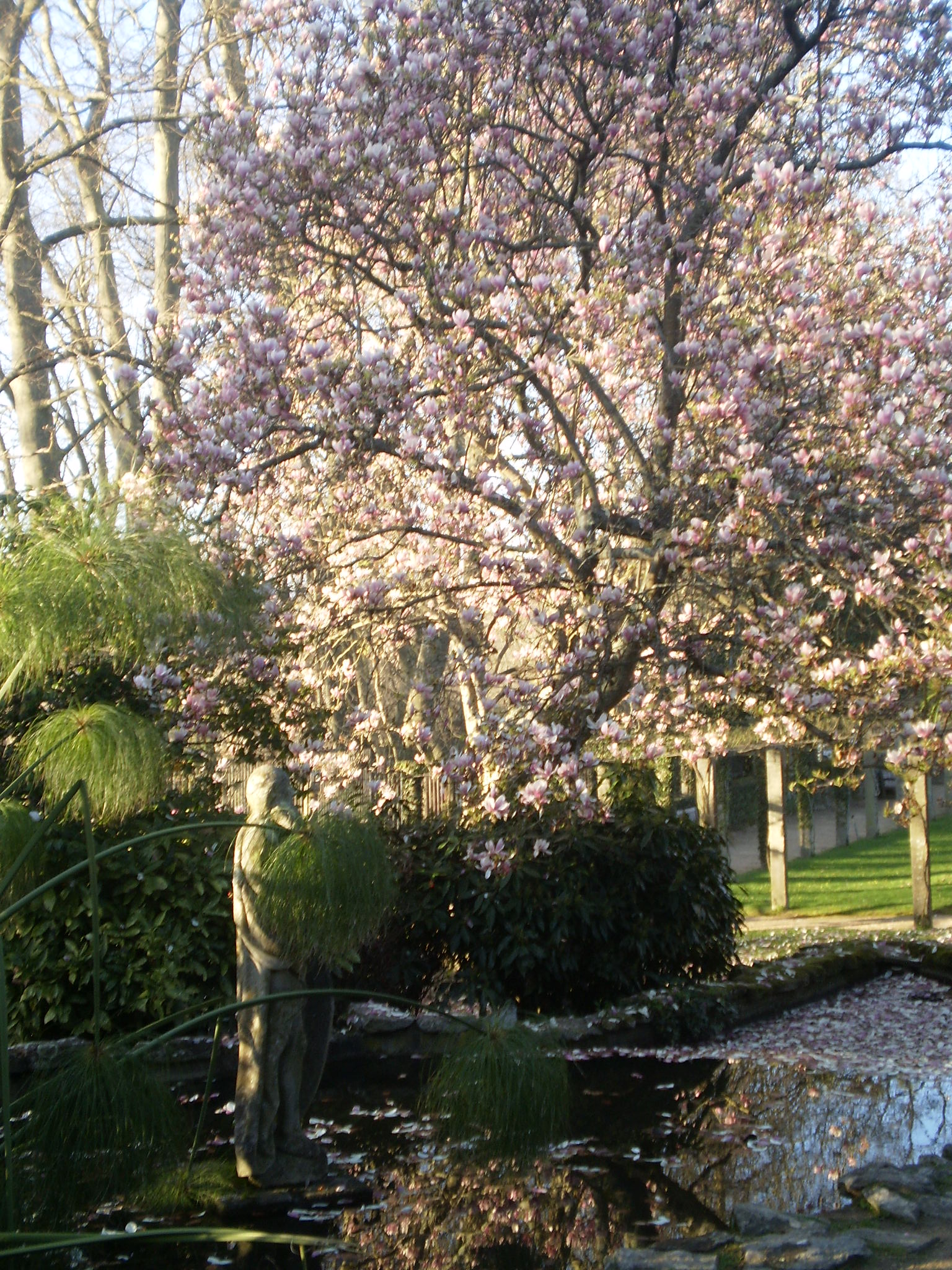 Ruta botánica jardines históricos, por Sasa72
