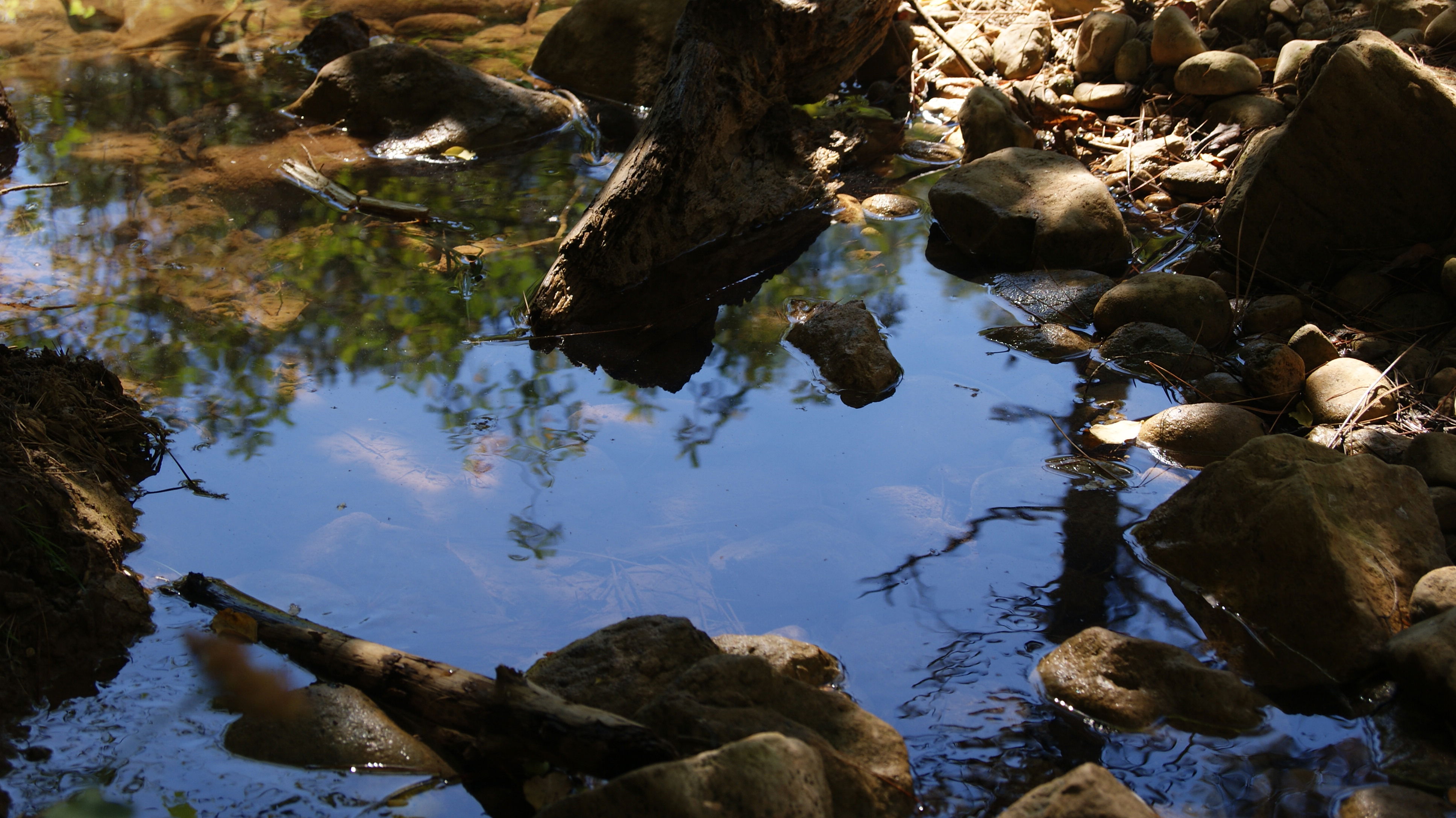 Aire libre en Marbella: disfruta de sus rincones naturales y serenos