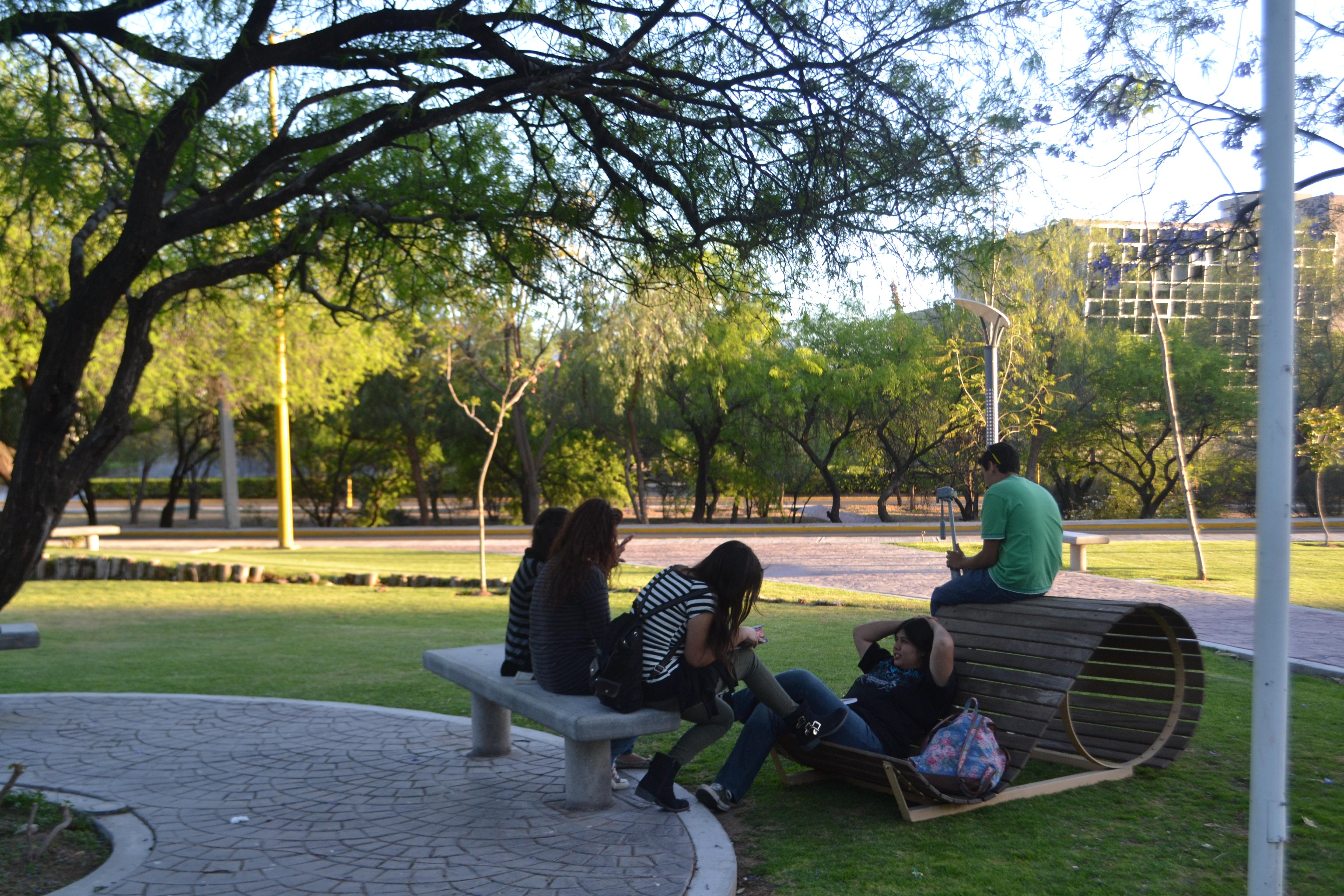 Jardín Musical, por Melody Medrano