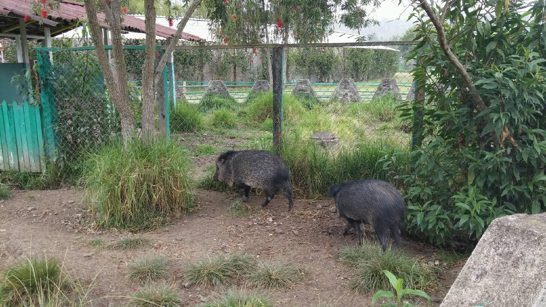 Parque Jipiro, por Cyndi Yoana Villacis Gallardo