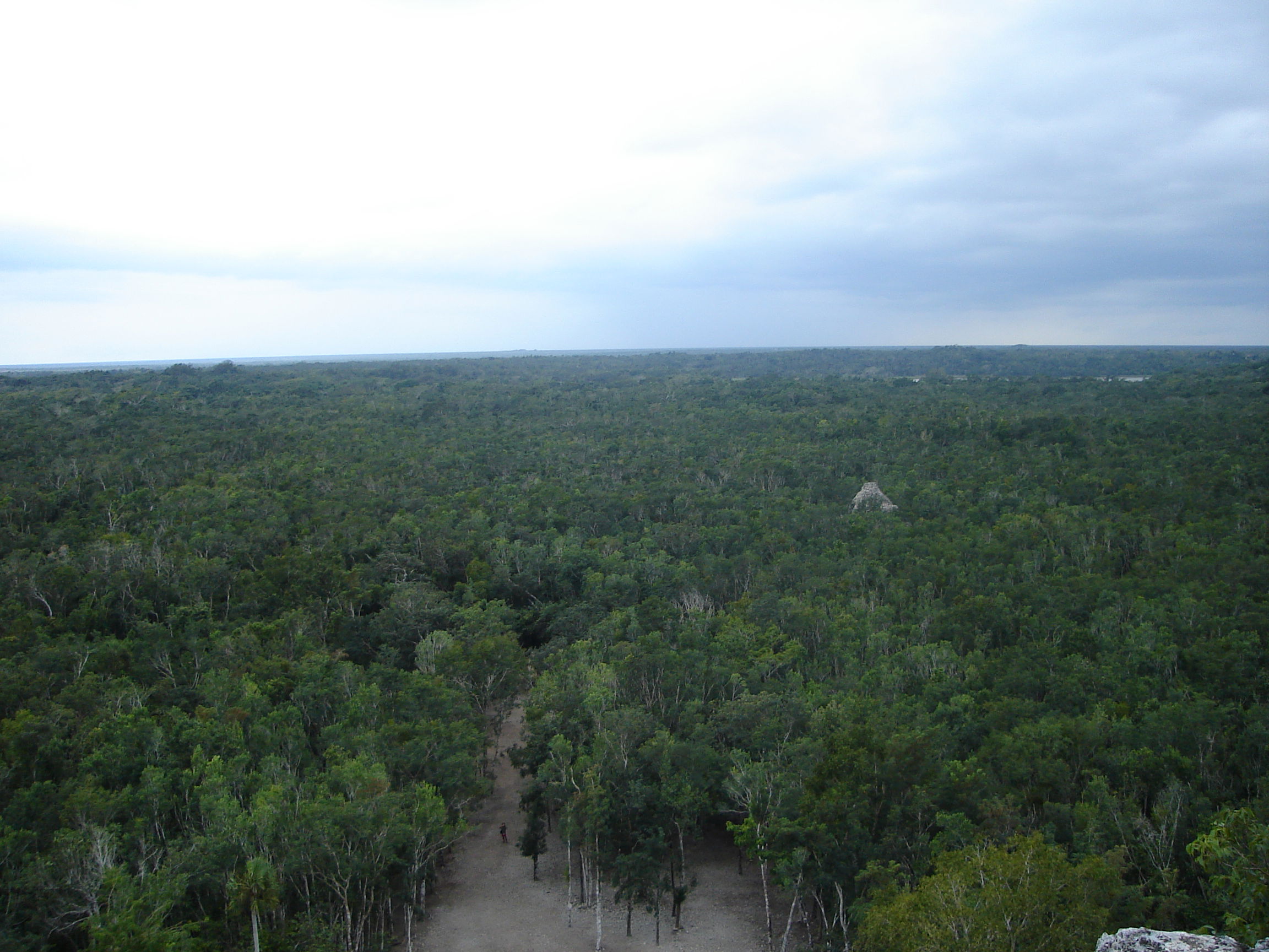 Cobá, por Álvaro Cabo