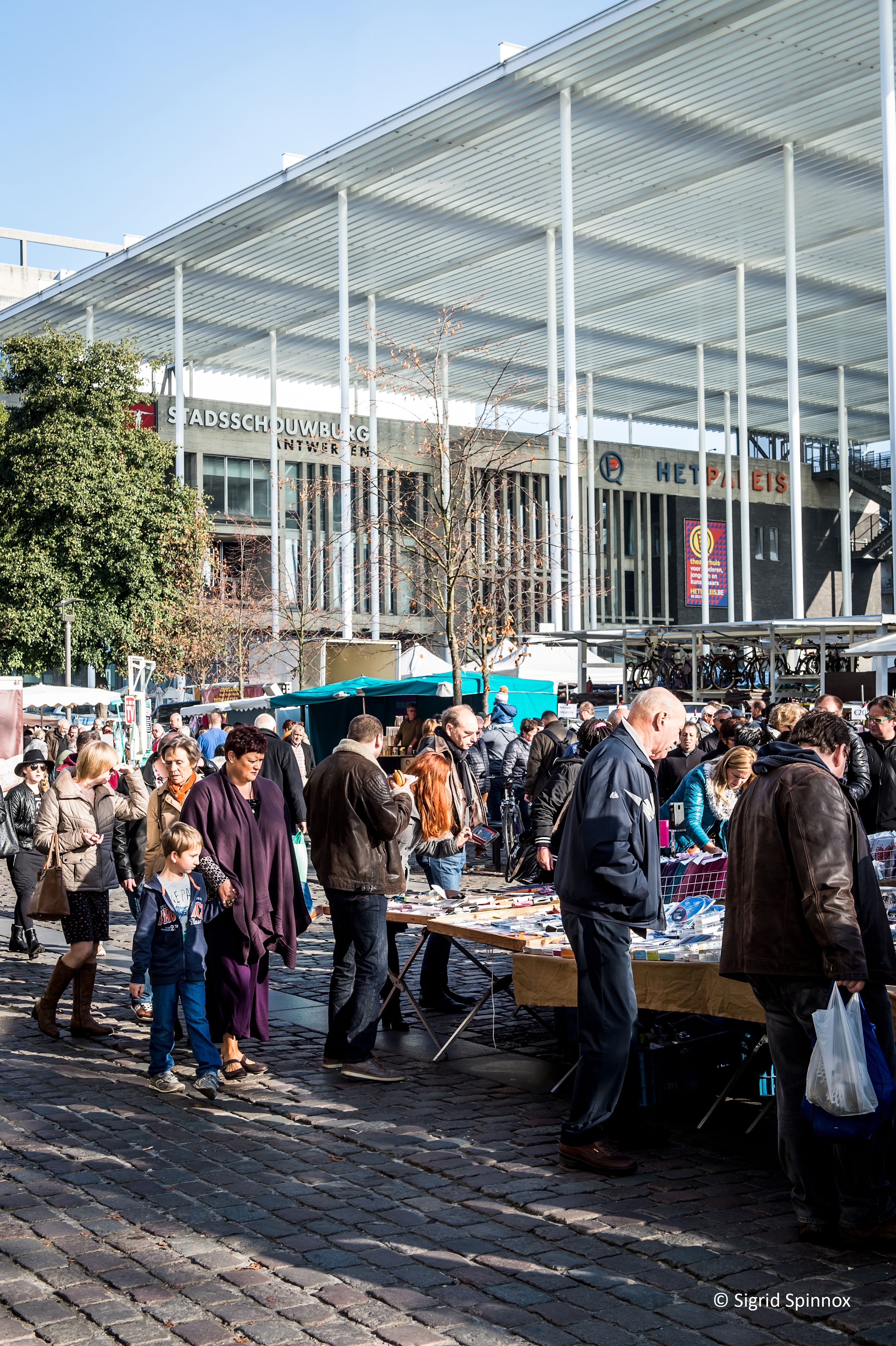 Descubre la magia de los mercados en Amberes y su encanto local