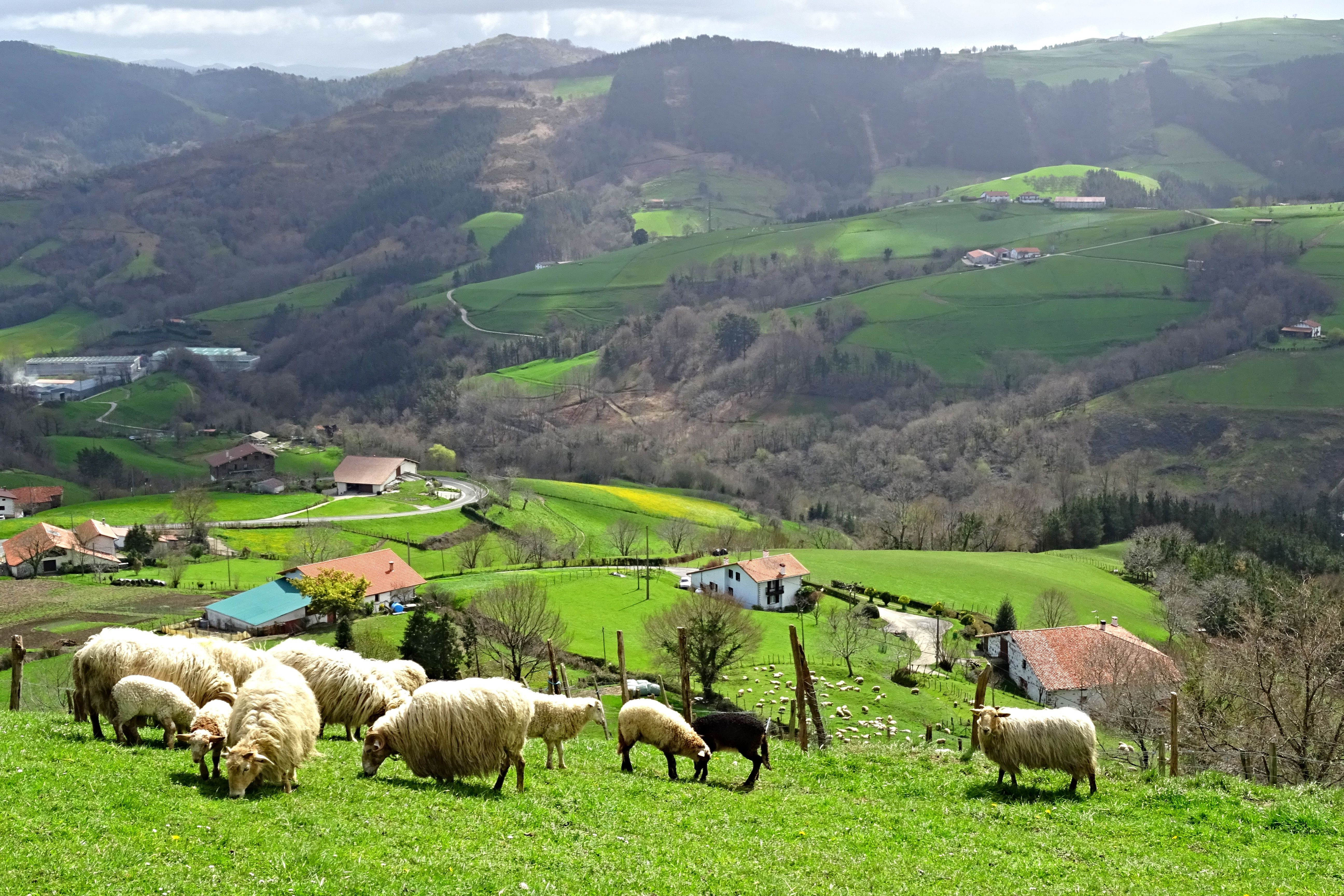 Pasaia Pais Vasco, por Jorge vazquez alvarin