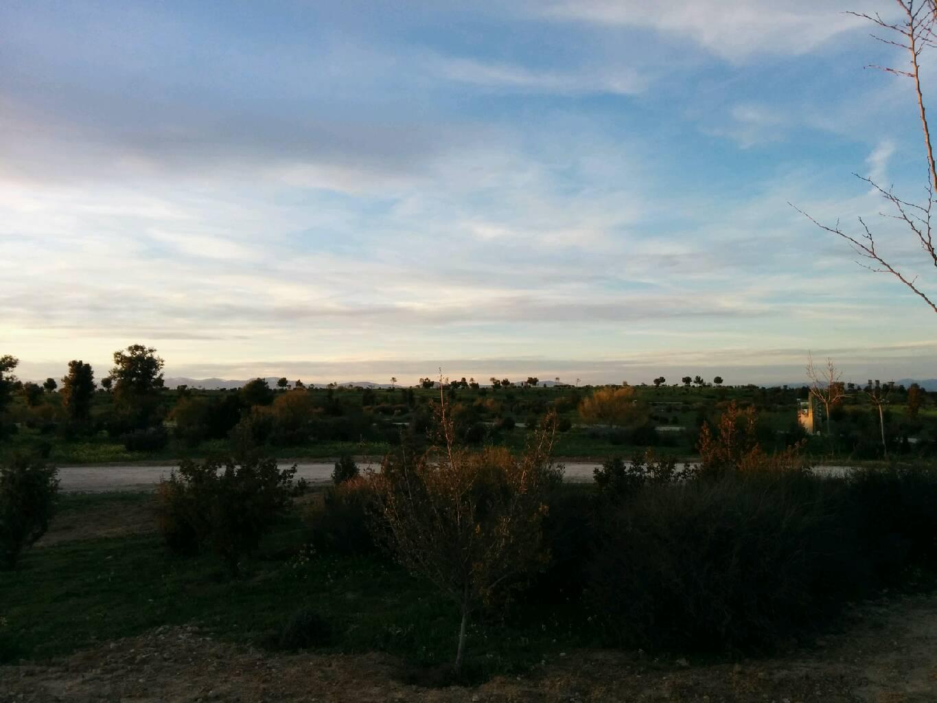 Parque Forestal Felipe VI Valdebebas, por Juan Carlos Milena