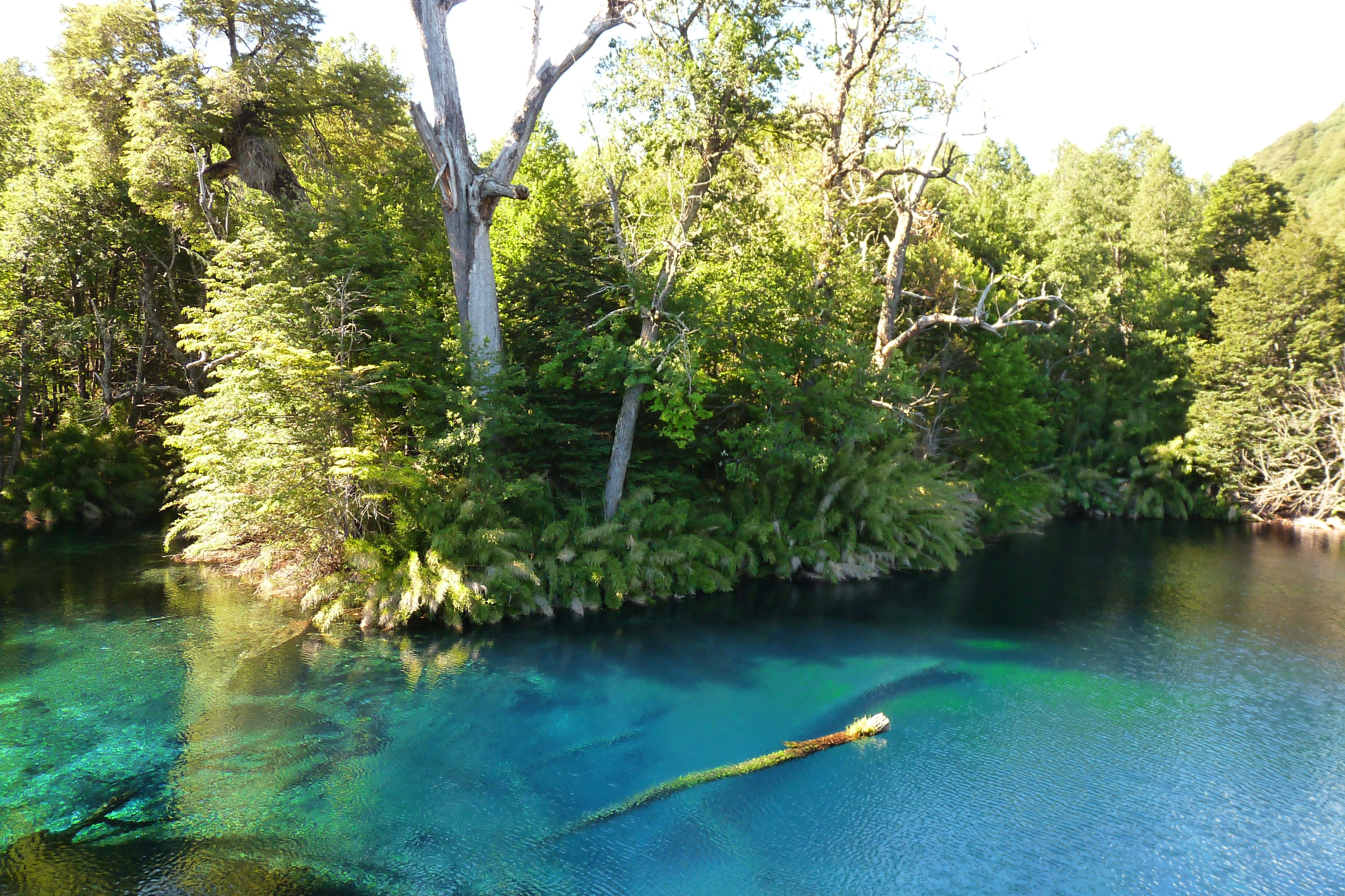 Laguna Arcoiris - Lago Conguillio, por Pablo Olivera 