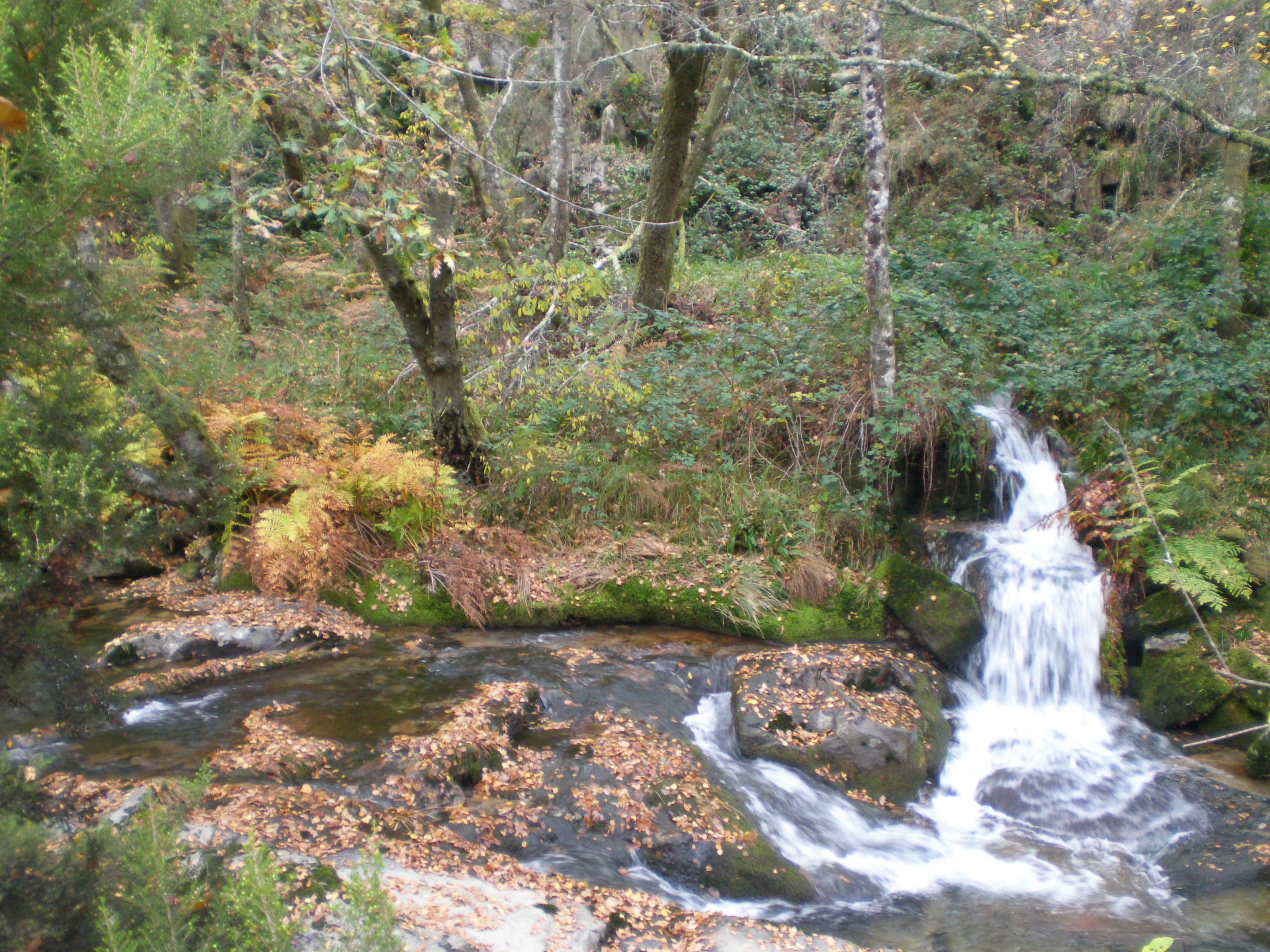 Otoño en Melón, por Ana del Pozo Corbeira