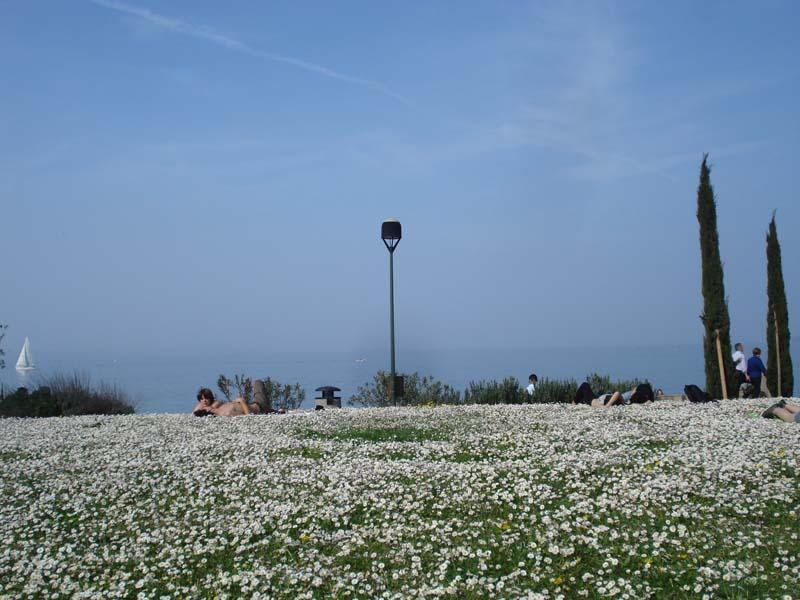 Playa de Oro, por Valerio Gestri