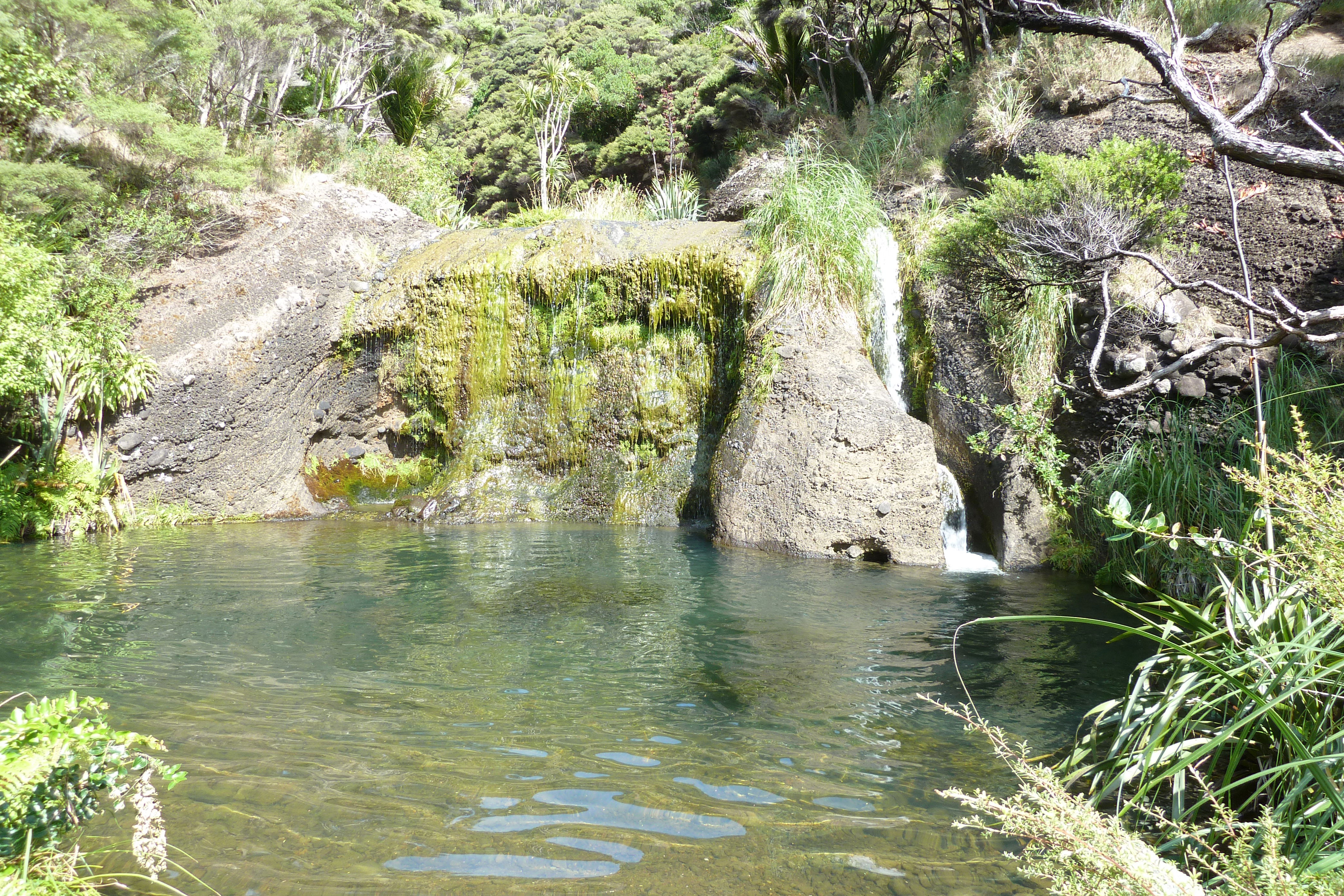 Bethells Beach, por Cédric Lebailly