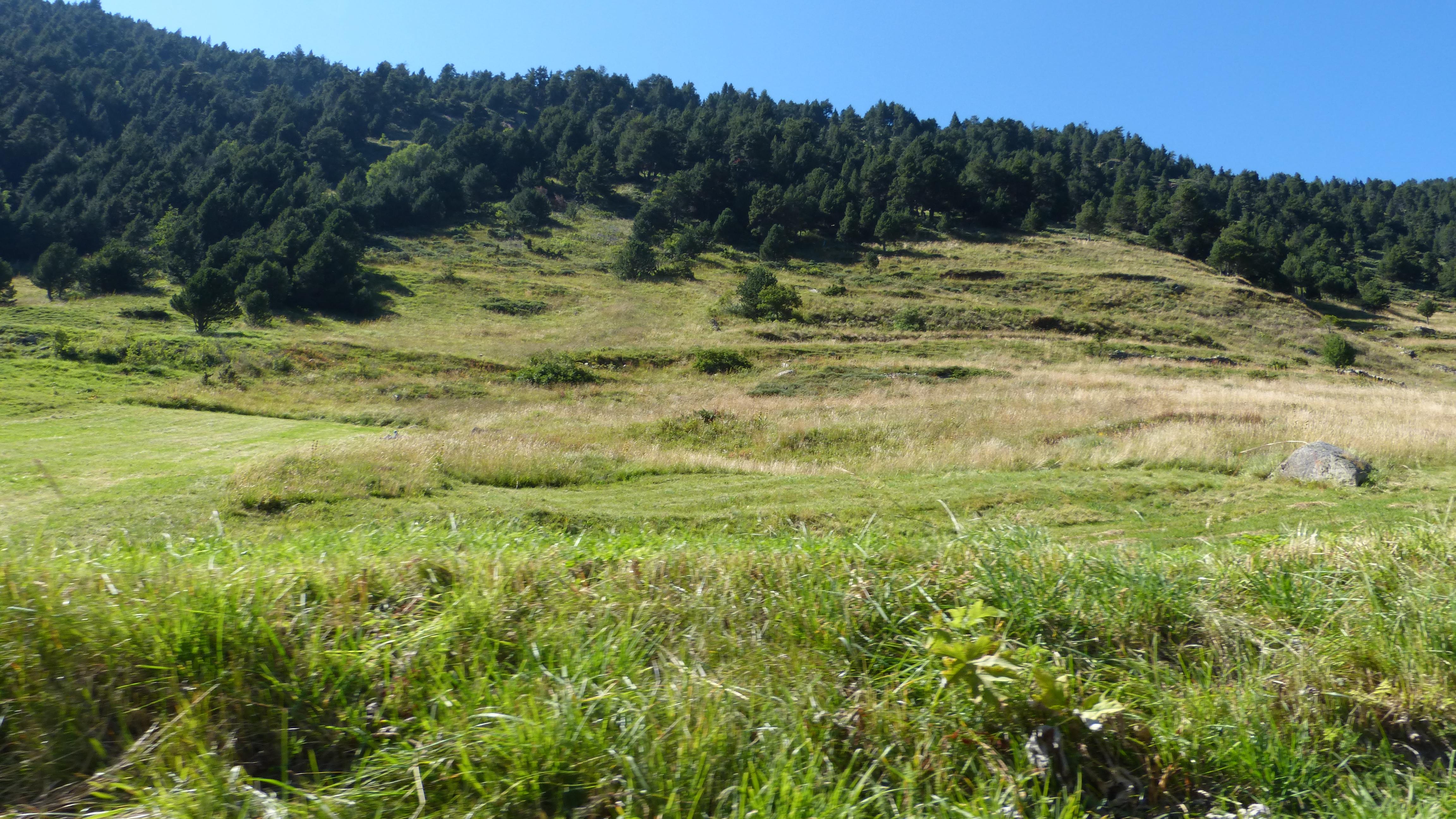 Rutas en Canillo: Descubre los Encantos de la Vall d'Incles y Más