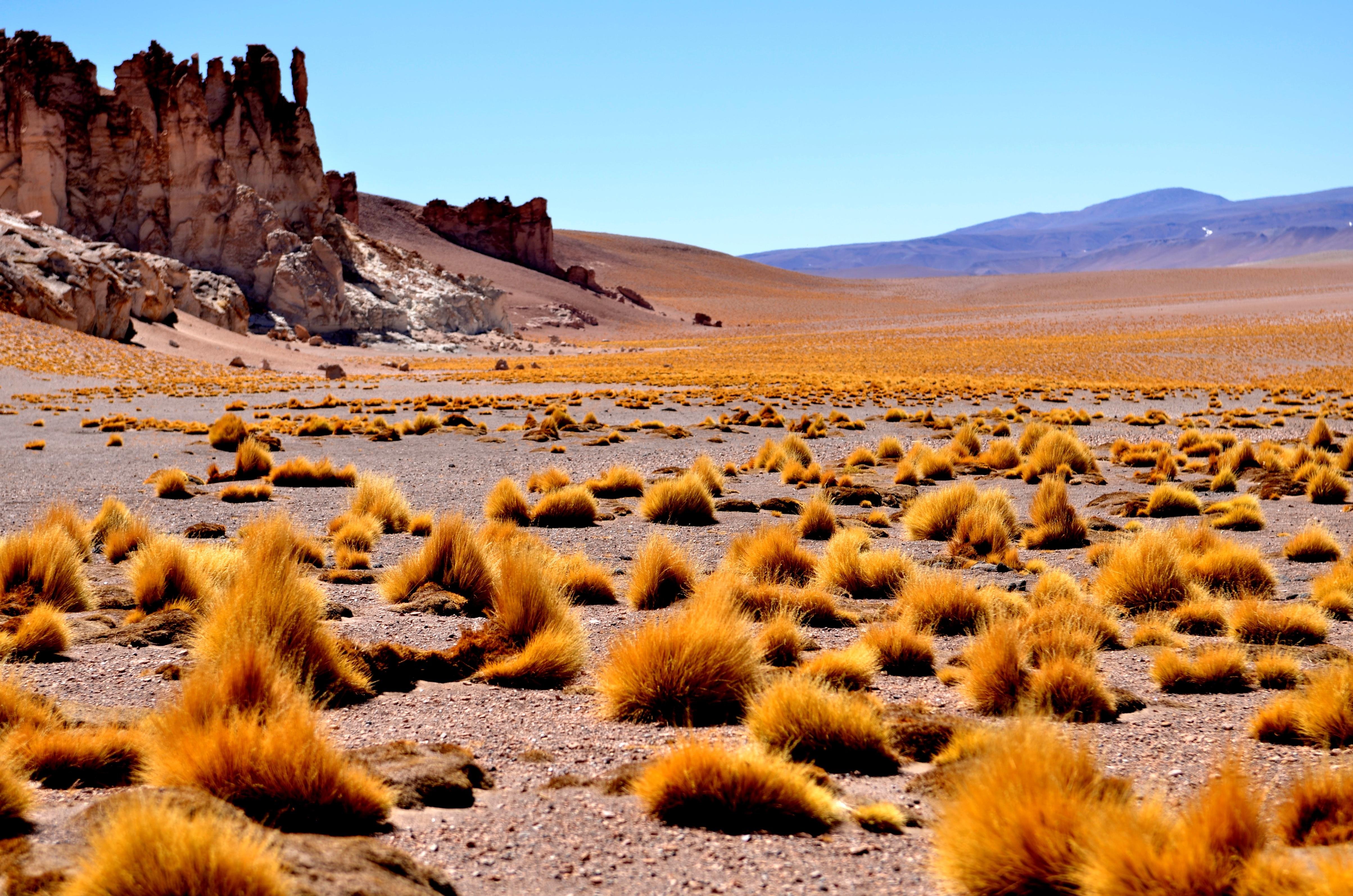 Самая большая пустыня в Южной Америке