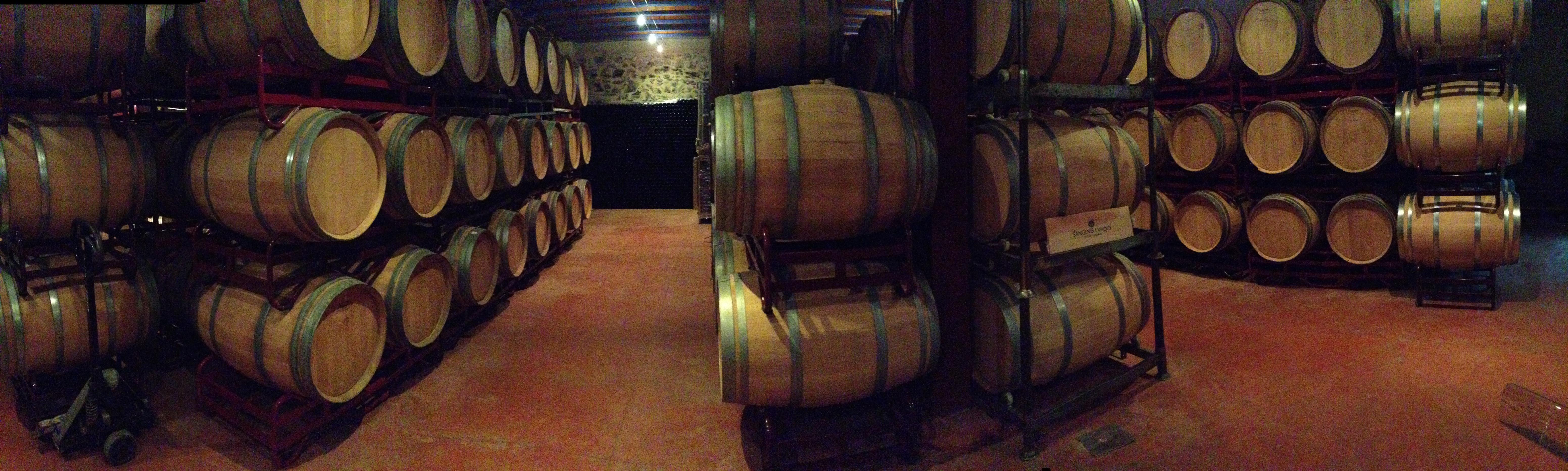 Bodegas en Tarragona: un recorrido por el vino y la tradición