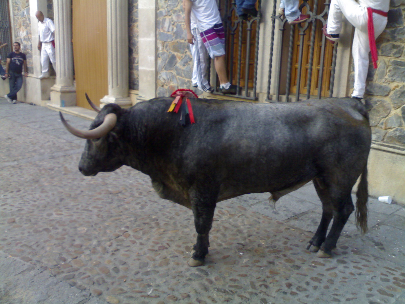 Fiestas de San Juan, por Guille Pedraza