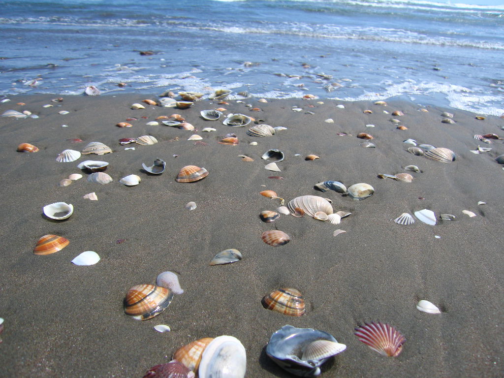 Playa Las Glorias, por Emma Lara