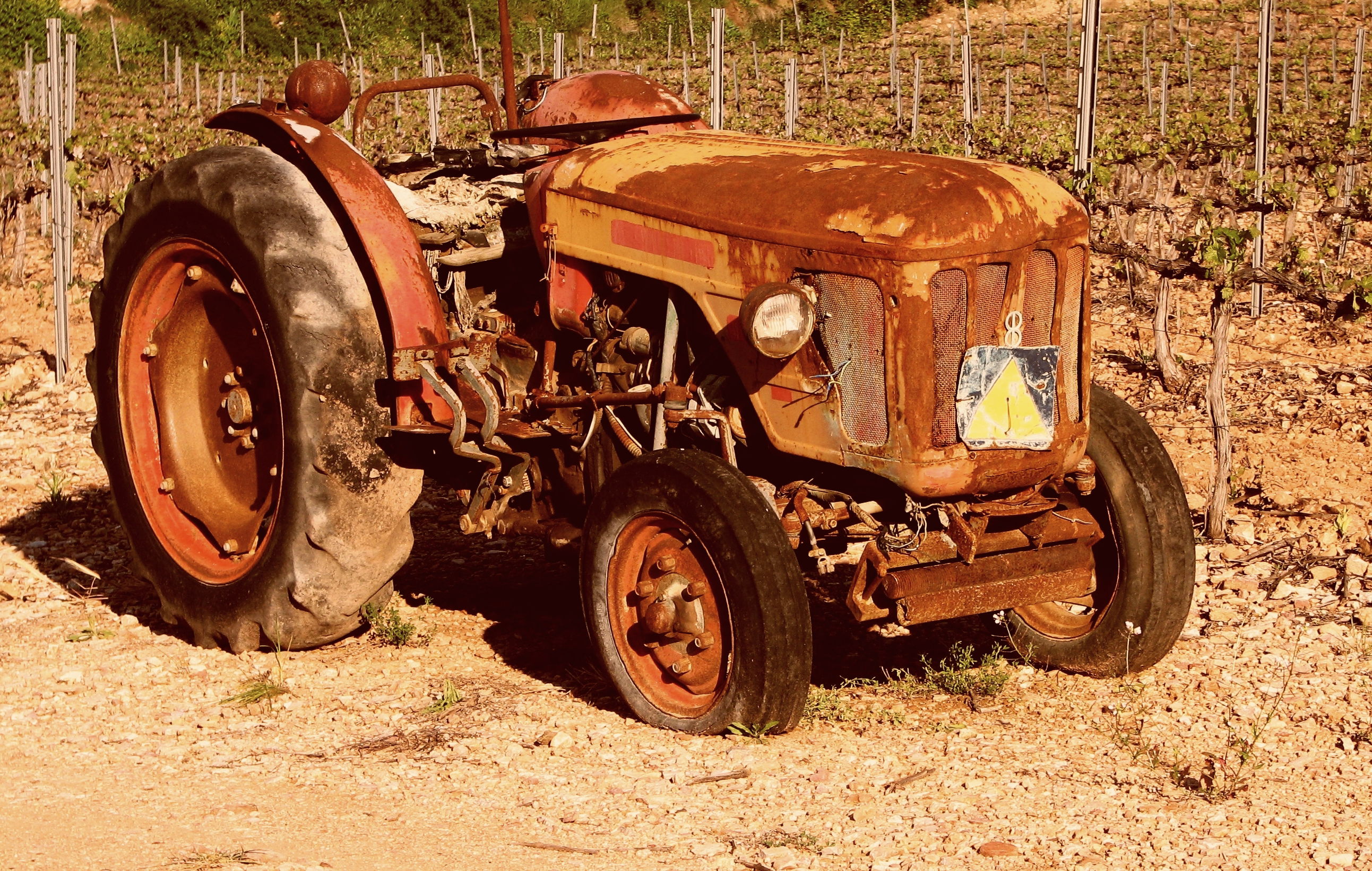 Viñas del Penedès, por Francesc Balagué