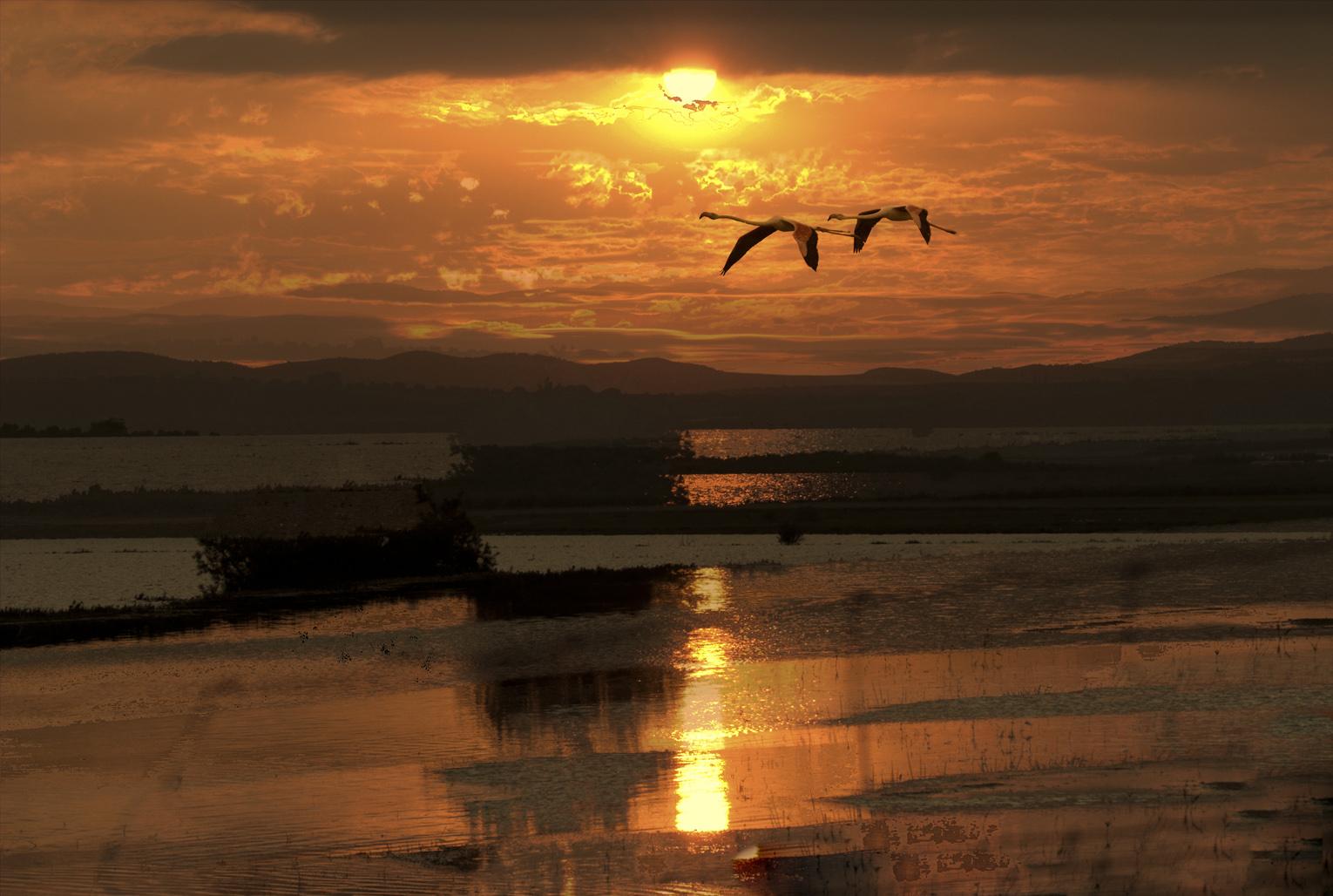 Laguna de Fuente de Piedra, por Pepe Rubia