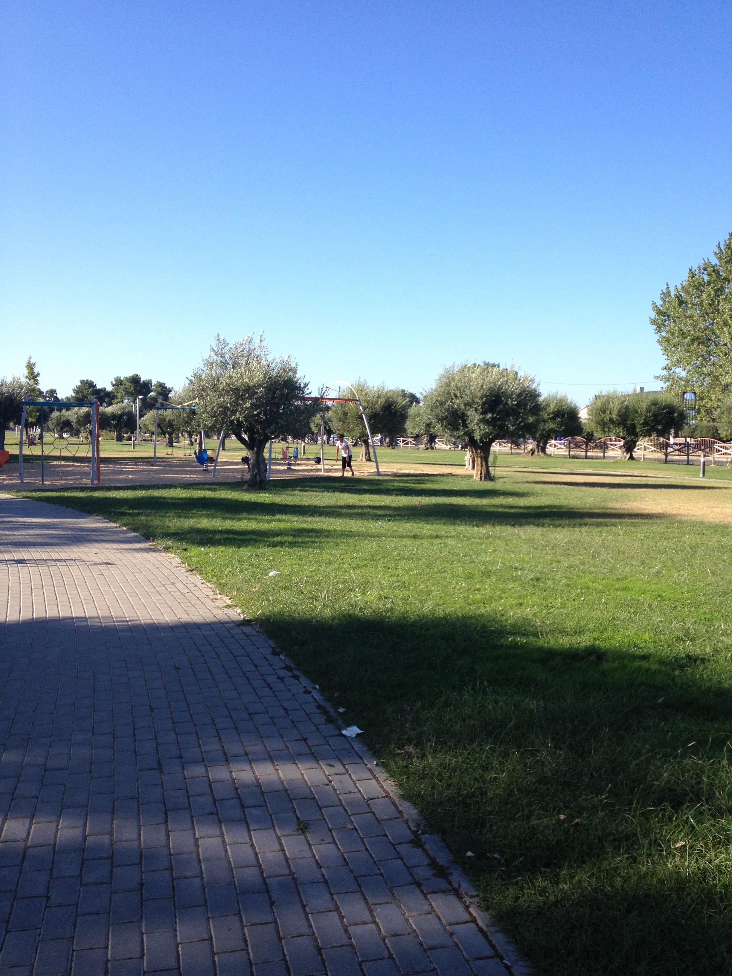 Azeitão Bacalhôa Parque, por Susana Aparicio
