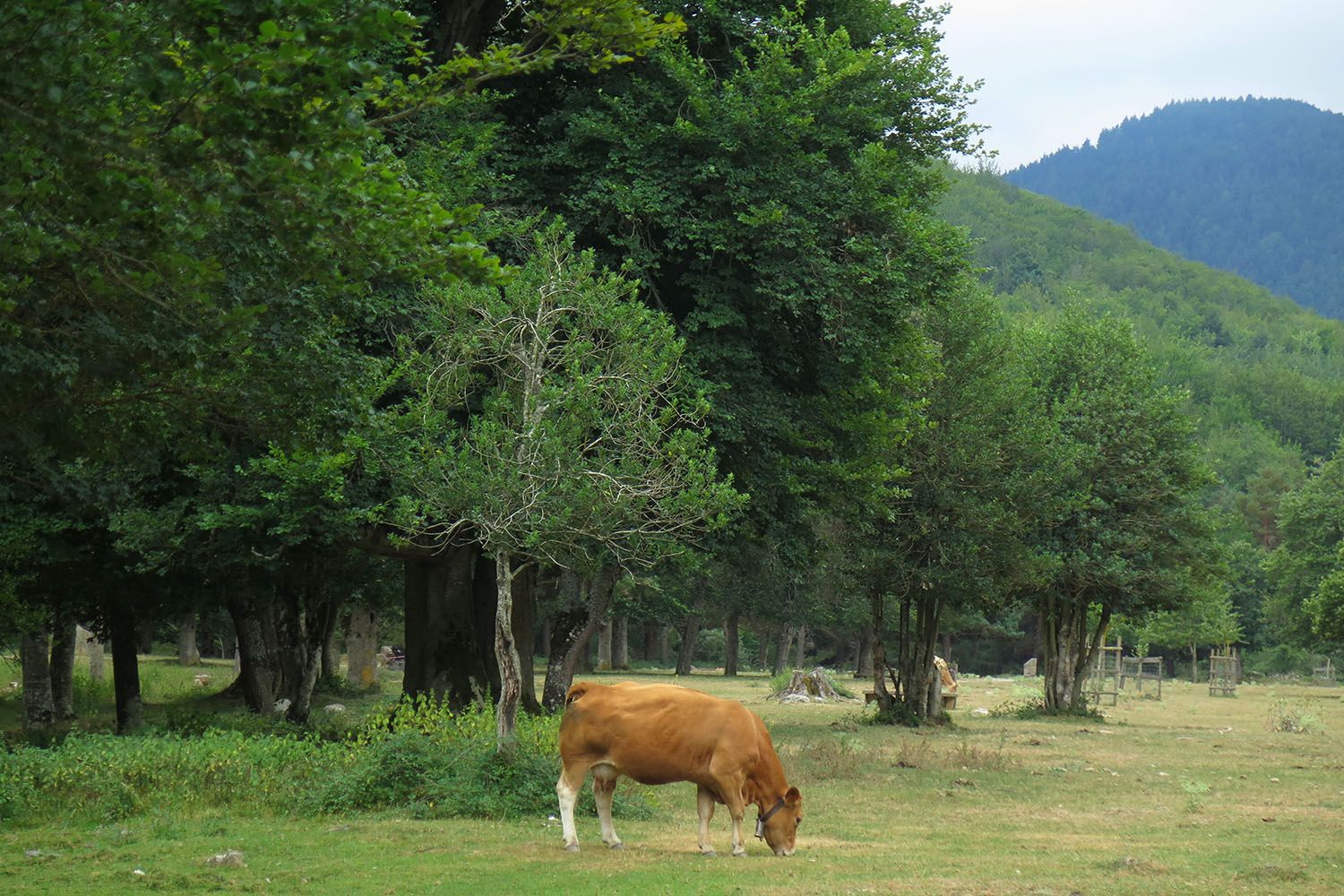 Sendero del Achichuelo, por Rebeca Serna - Viajeros 3.0