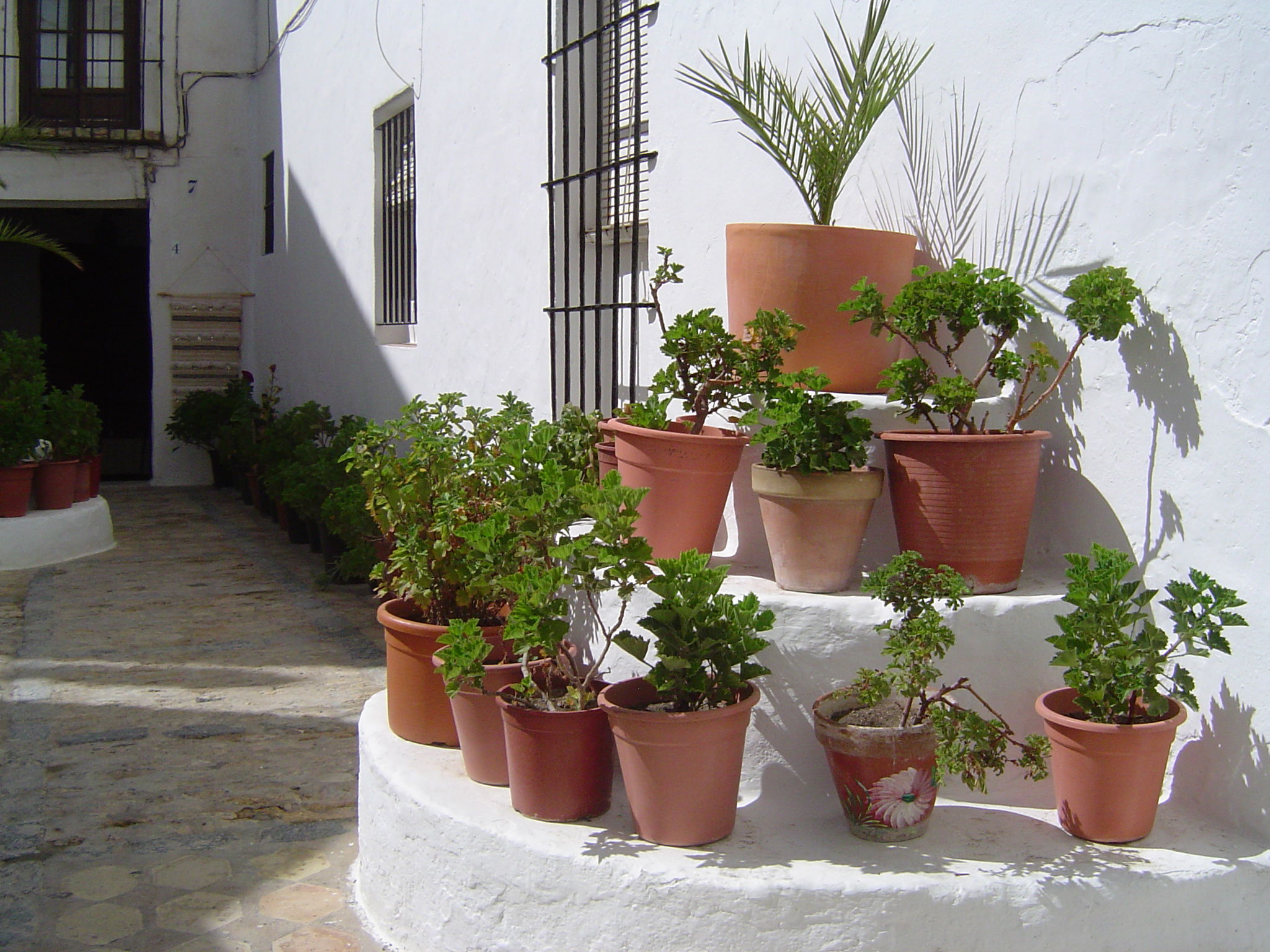 Portal de Vejer, por sala2500