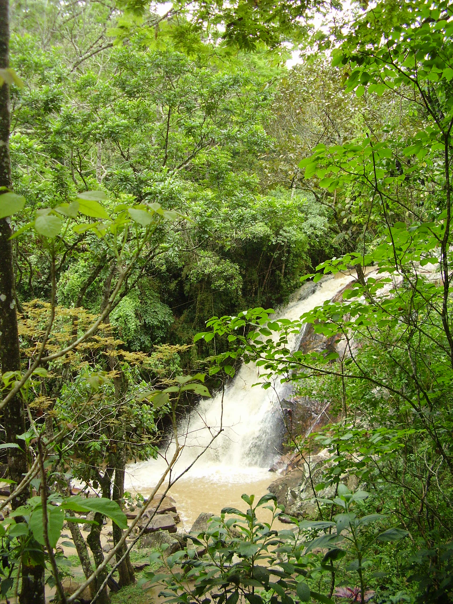 Santo Antonio do Pinhal, por Os Caminhantes Ogrotur