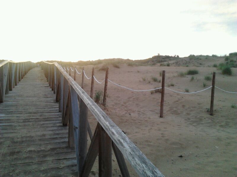 Playa el campo. Guardamar del Segura, por Esther Martinez Perez