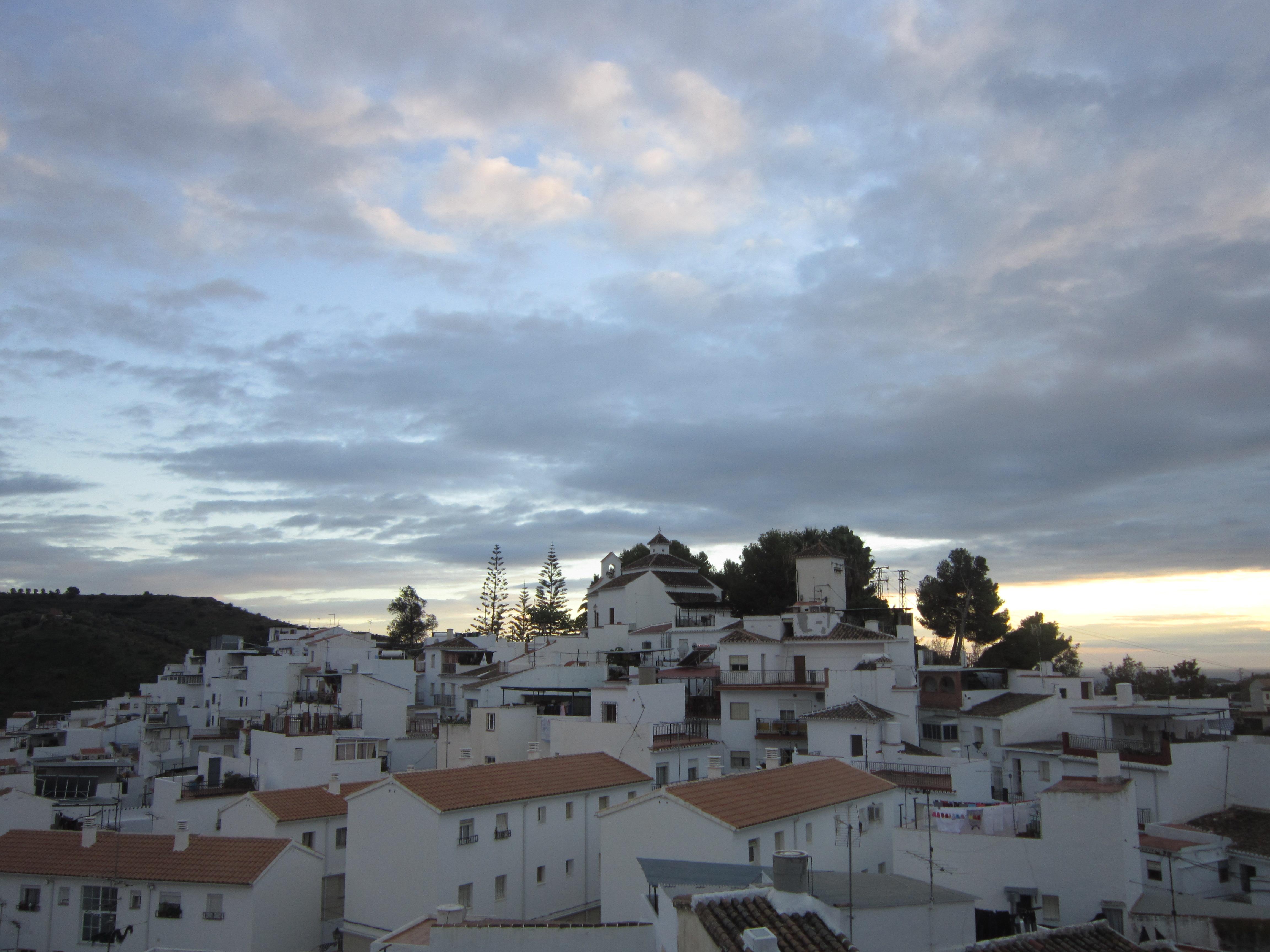 Algarrobo, por Ana María Cebrero