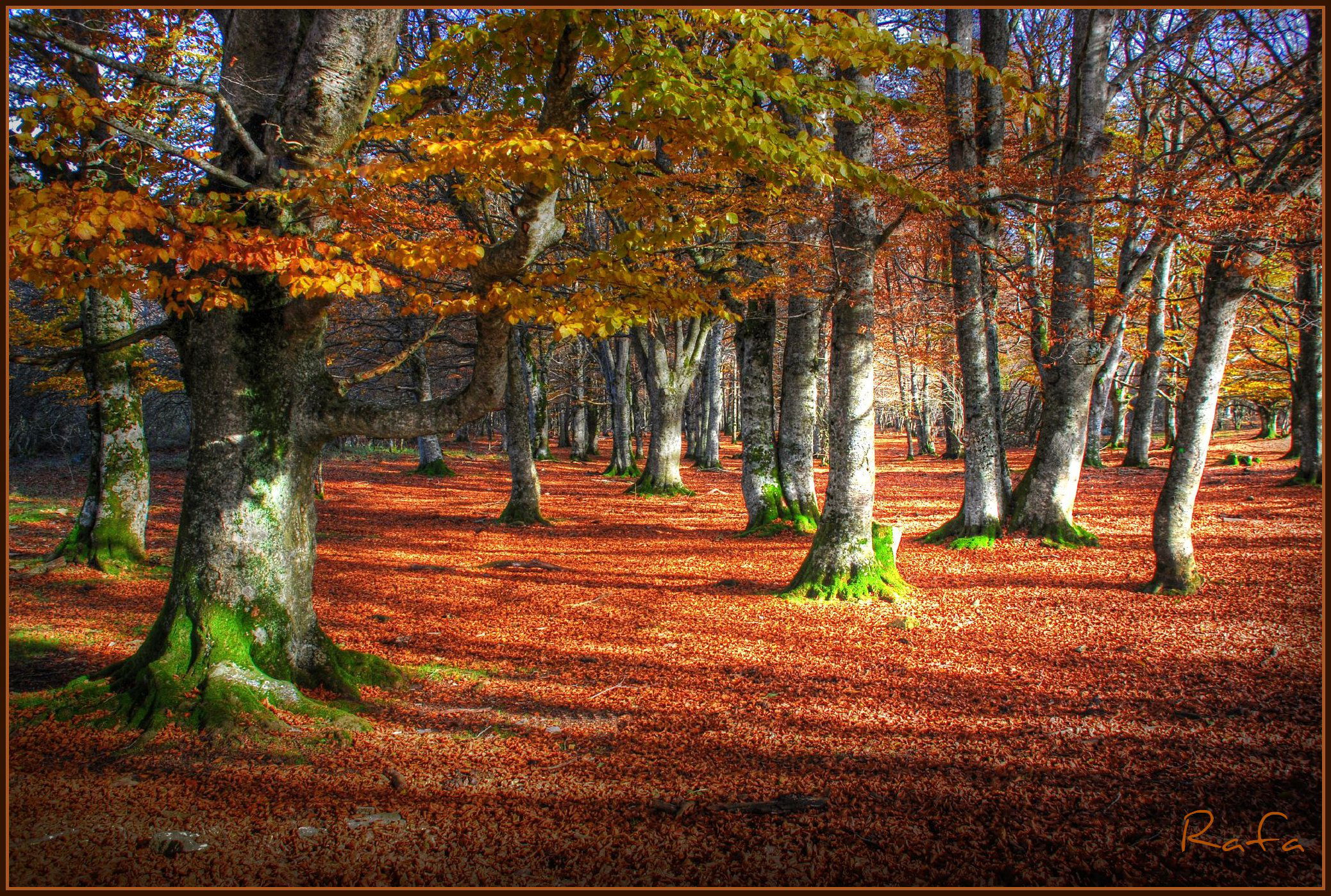 Sierra de Urbasa, por Rafael Amesti Aguirre