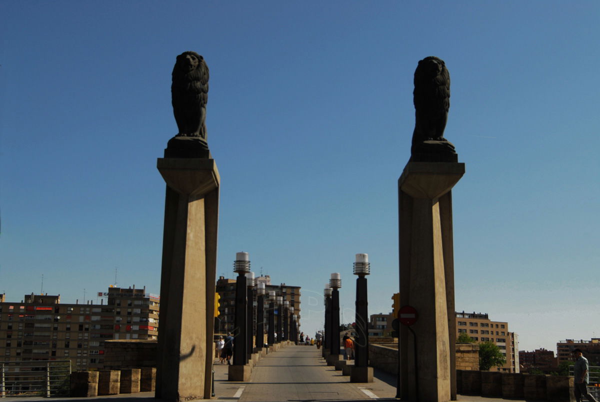 Los Leones de Zaragoza, por luisfernando
