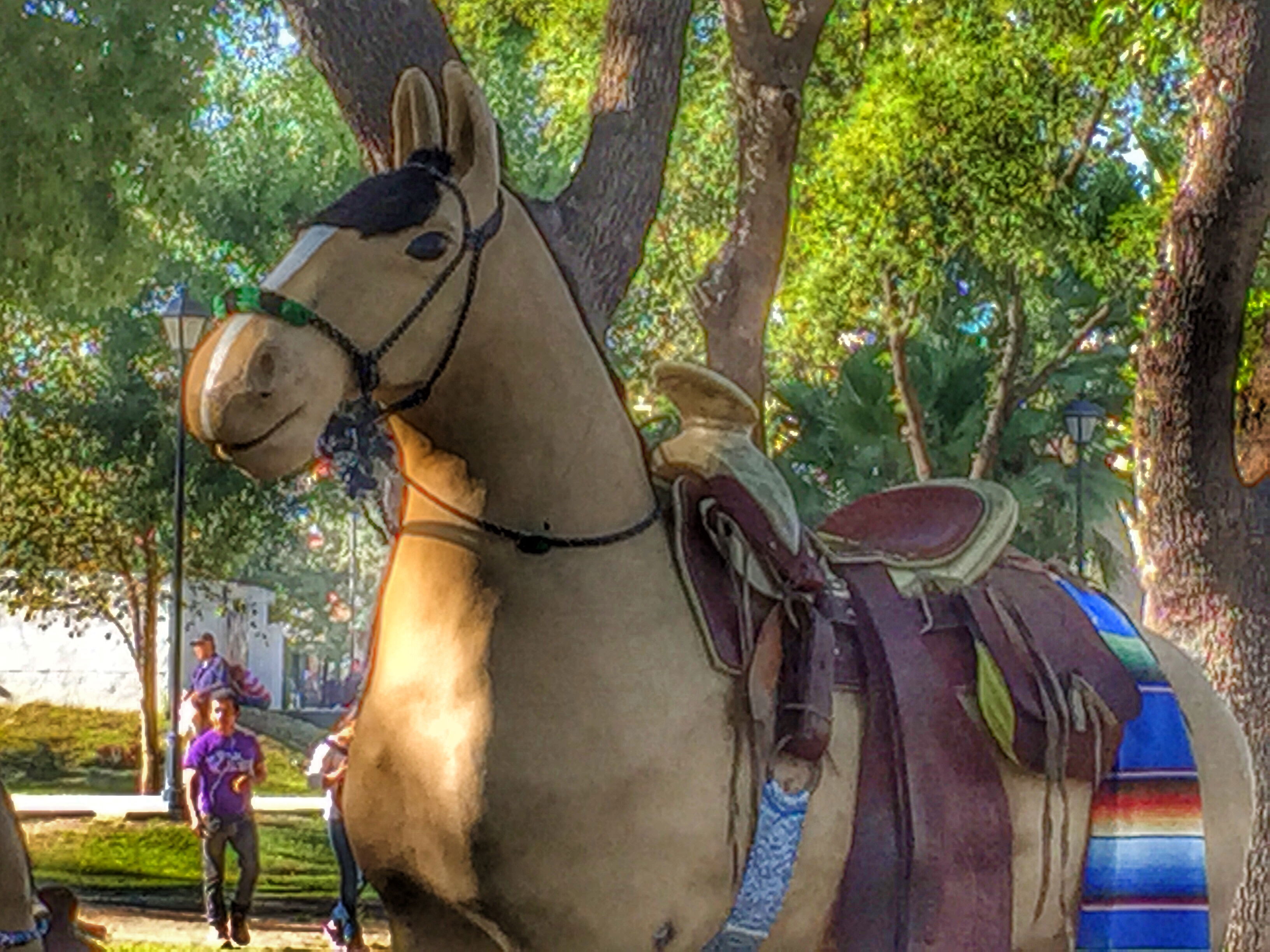 La Alameda de Monterrey, por Diana Patricia Montemayor Flores