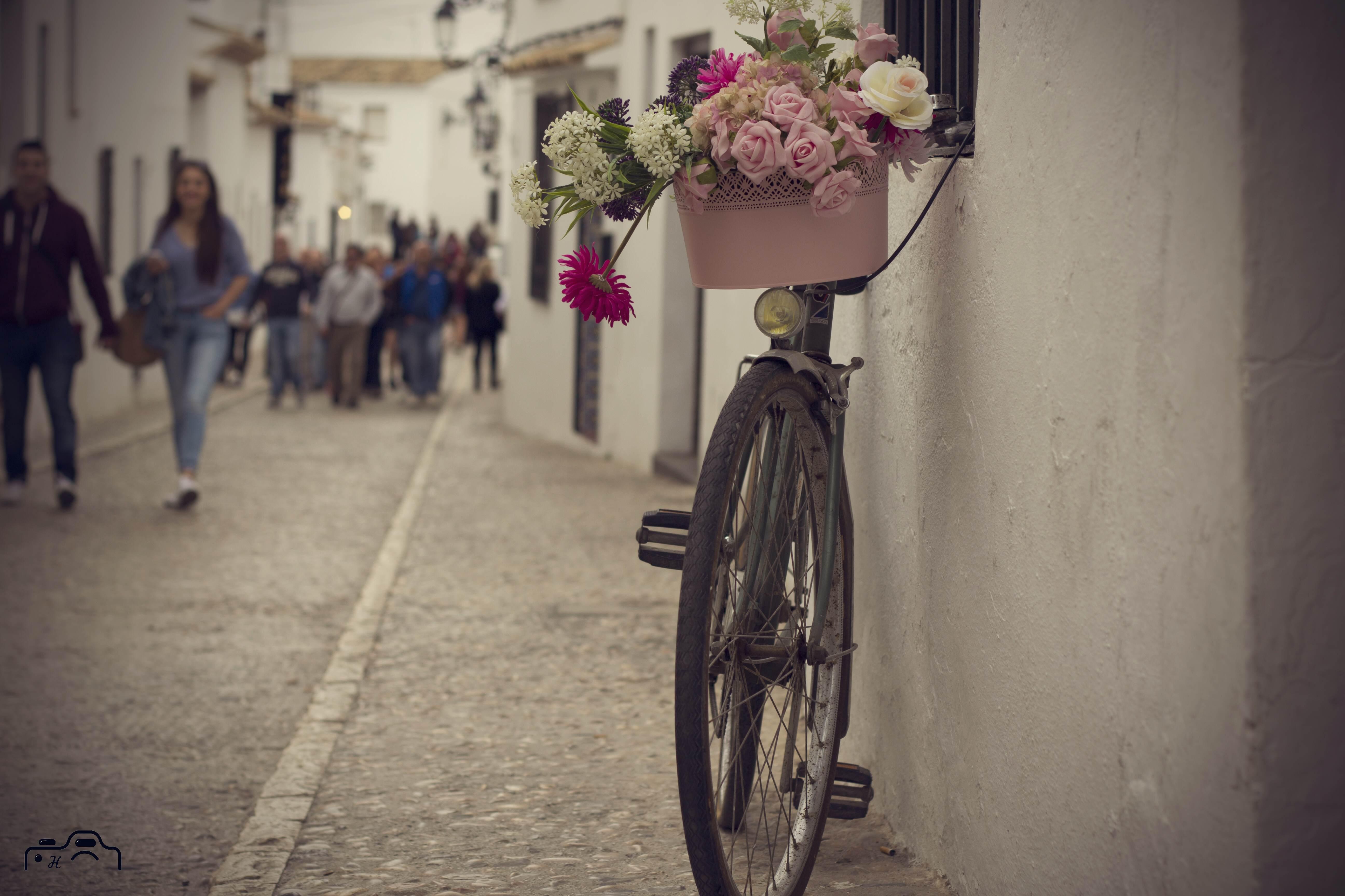 Calles de Alicante: un paseo por su historia y encanto vibrante