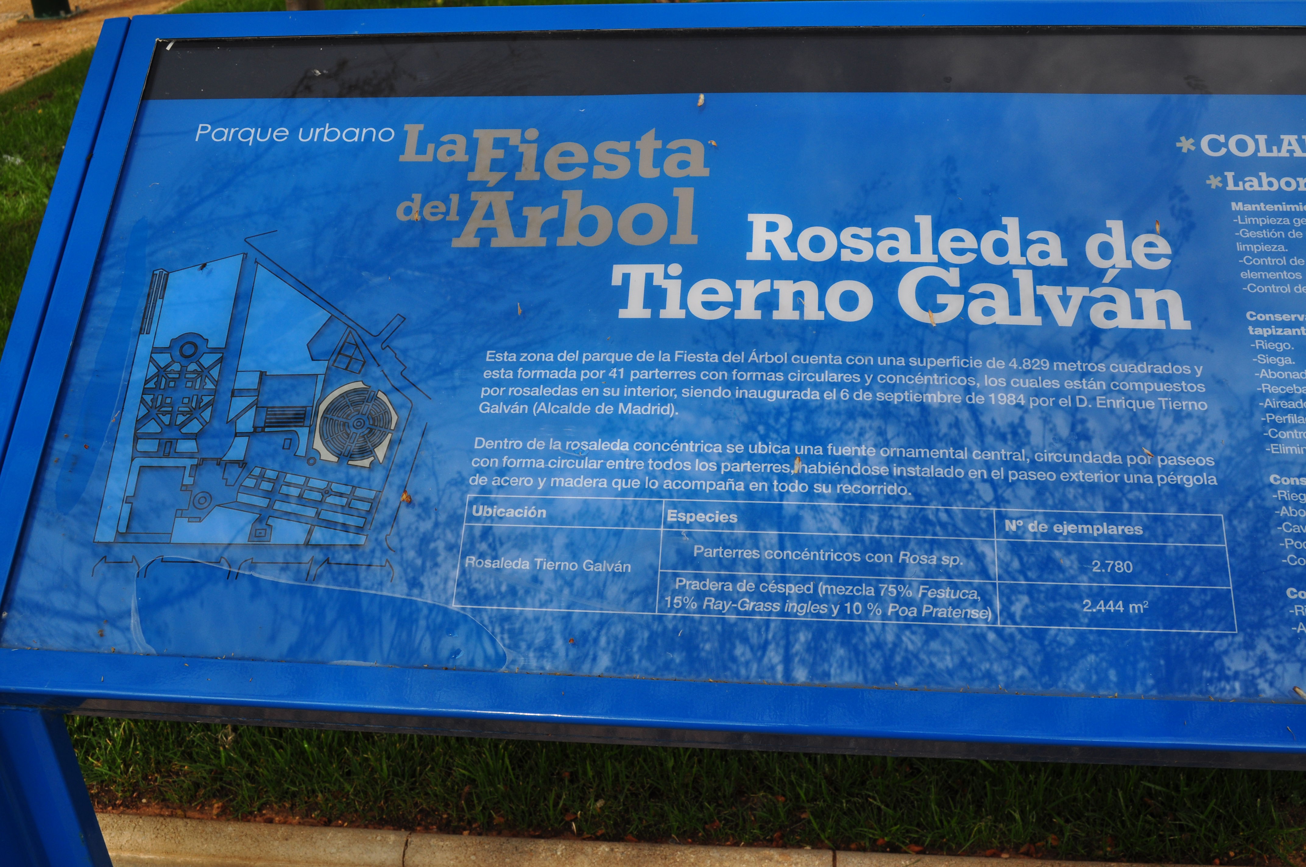 Rosaleda de Tierno Galván, por miguel a. cartagena
