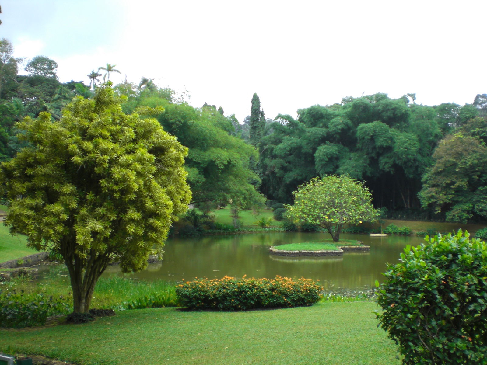 Lago "Sri Lanka", por paulinette