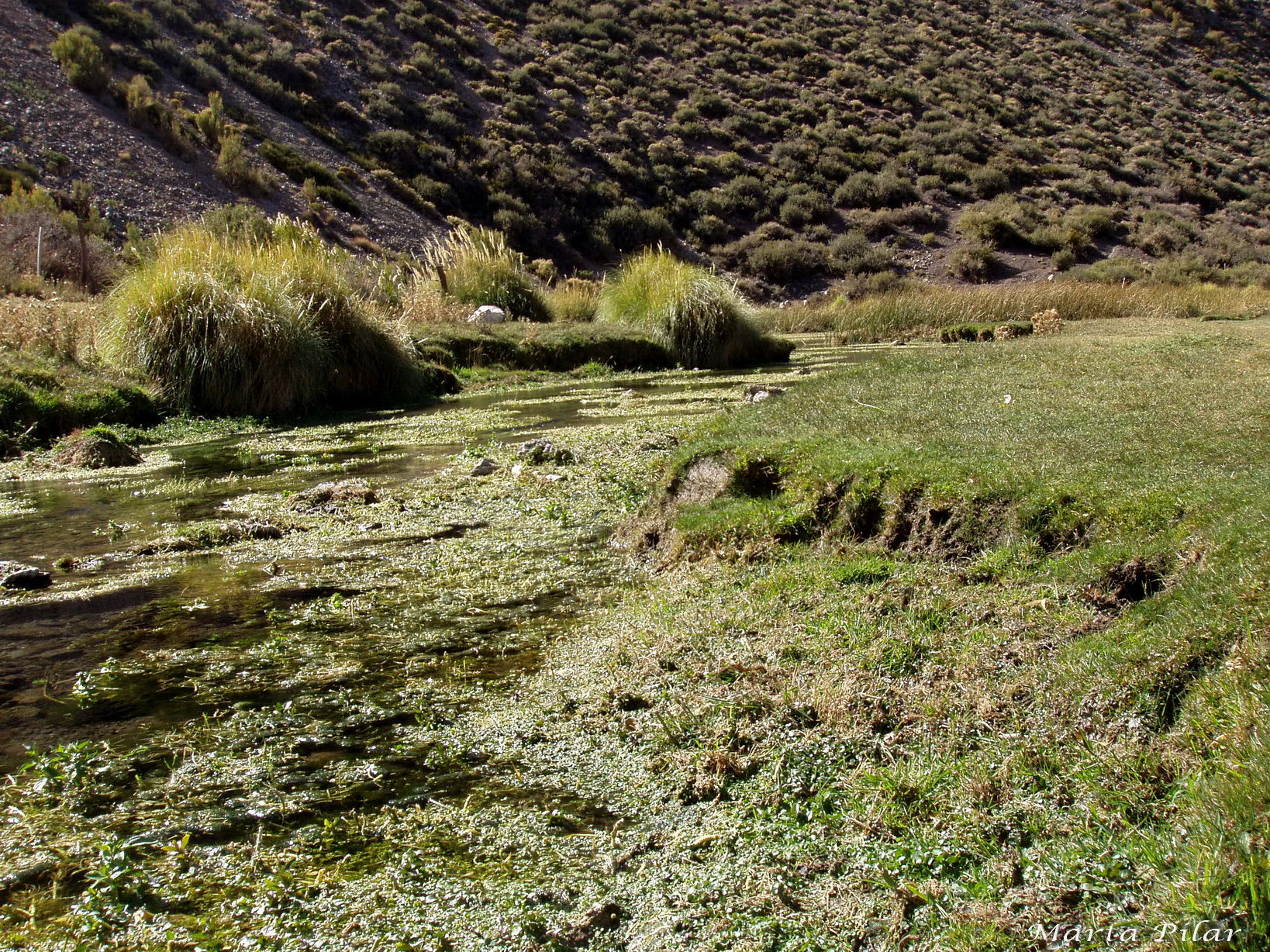 La Laguna de la Niña Encantada, por Marta Pilar