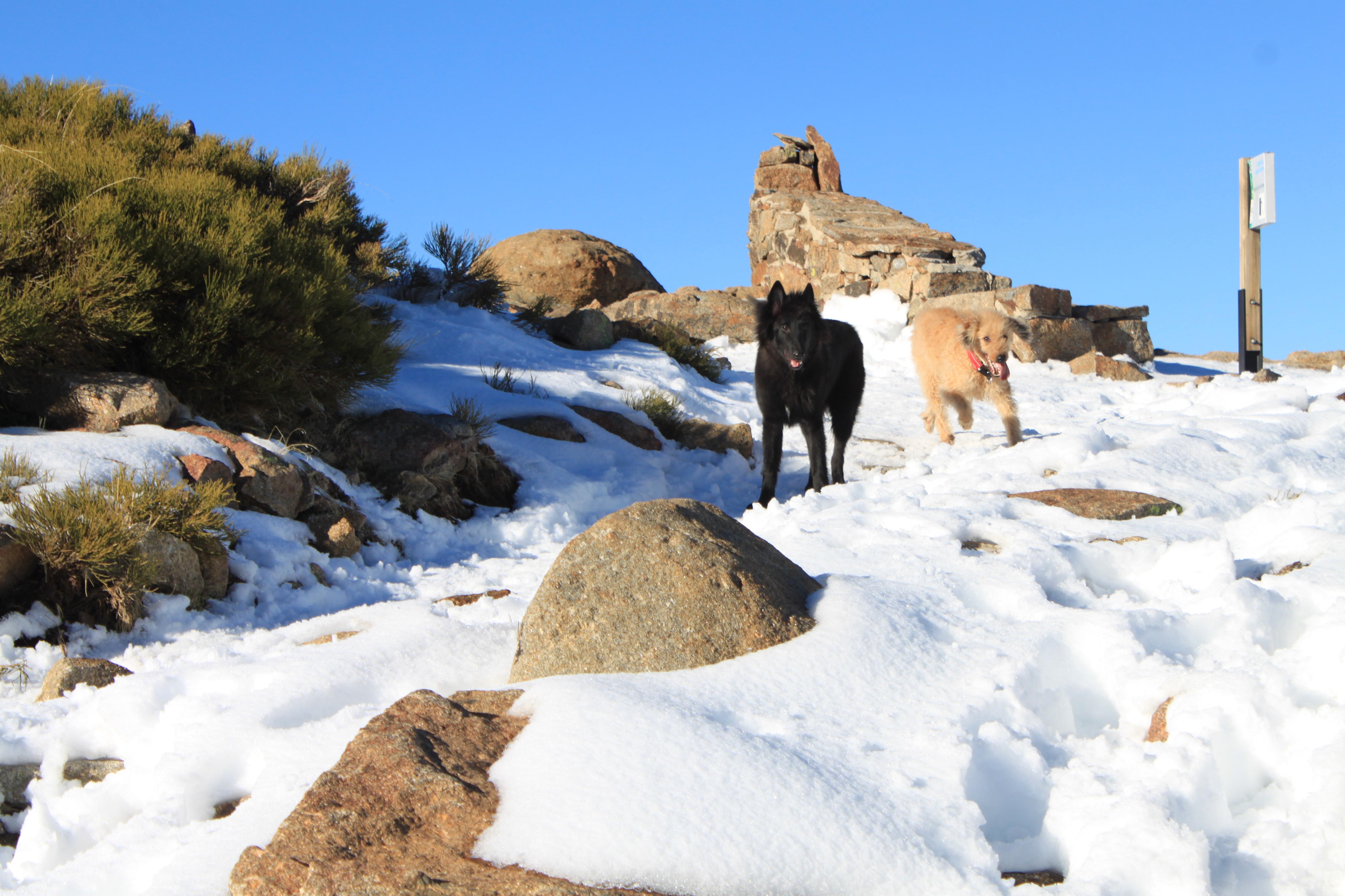 Senderismo en Hoyos del Espino: aventuras naturales por descubrir