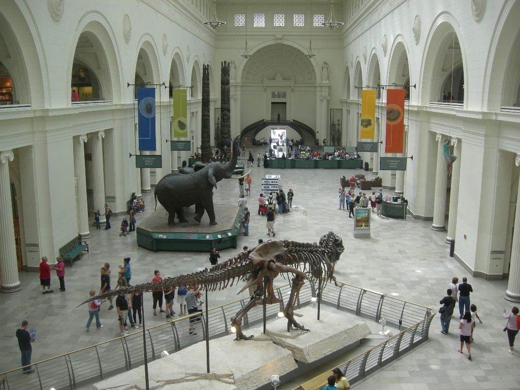 The Field Museum, por margsand