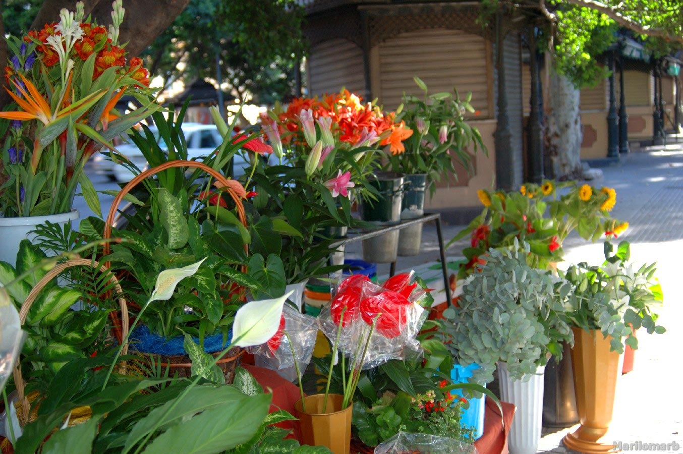 Kioscos-Floristerias, por Marilo Marb
