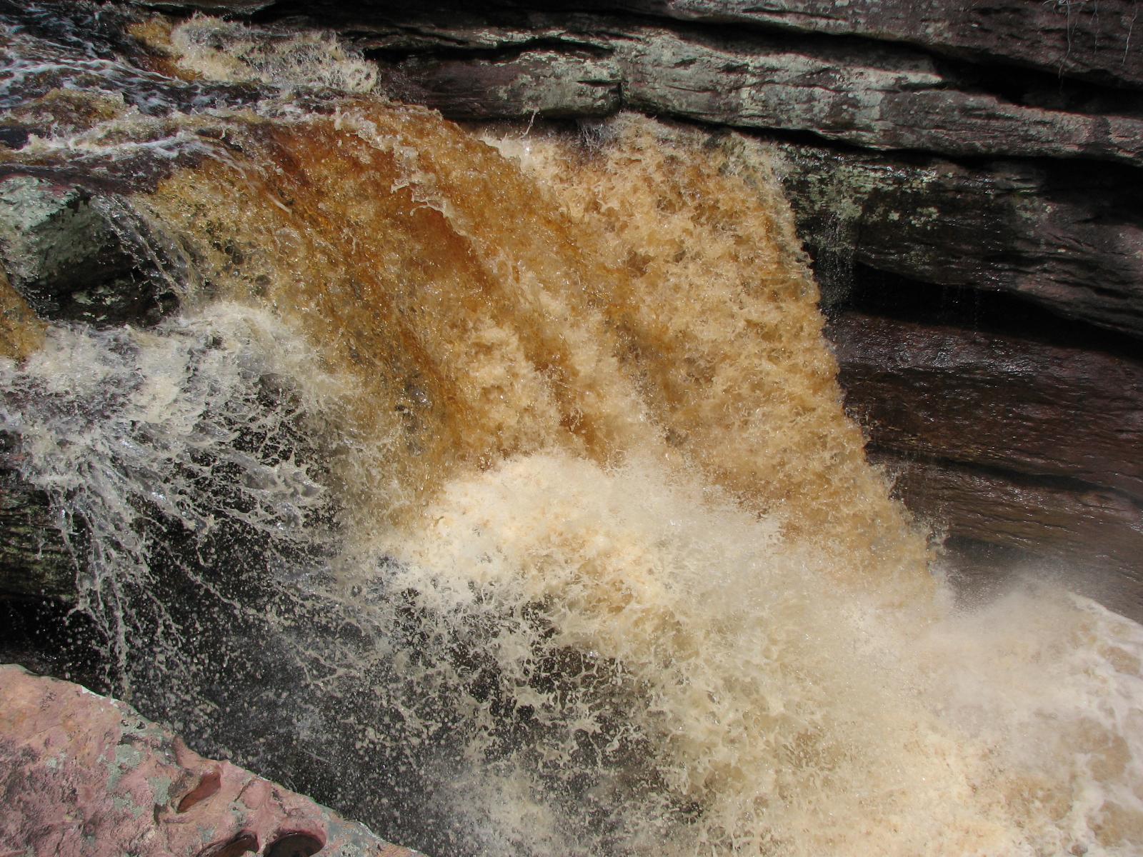 Cascada de Orquideas, por Raffa