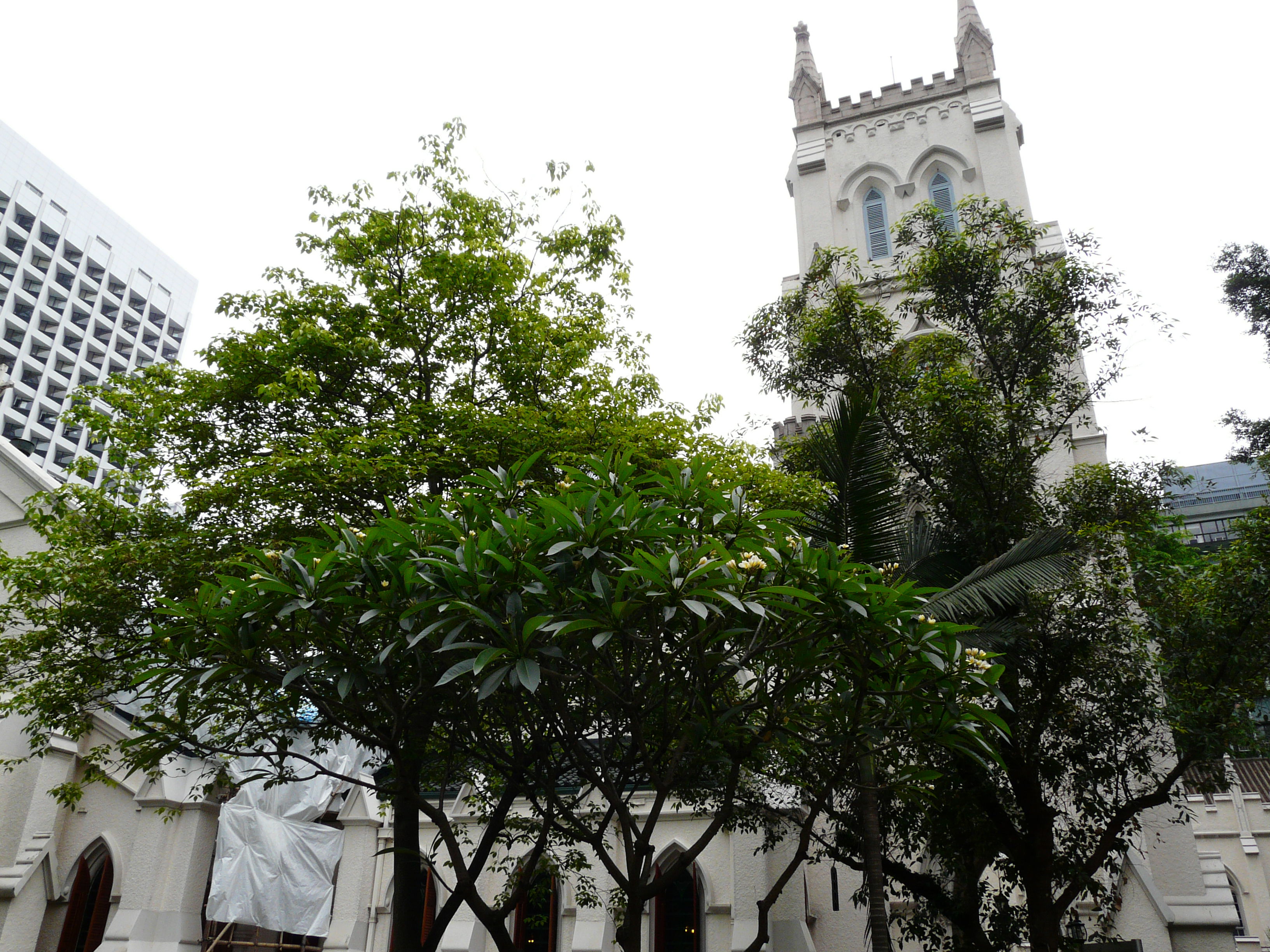 Catedral de St John, por Pedro Jareño