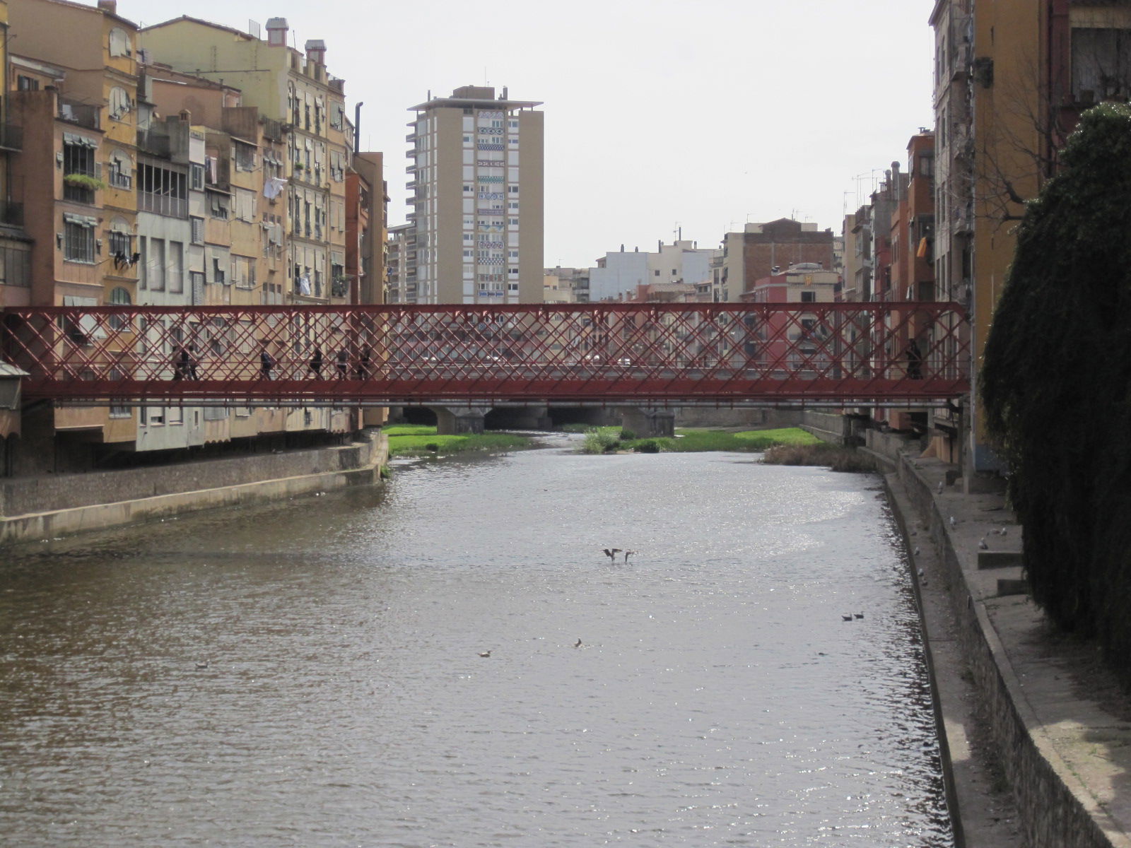 El Puente Eiffel - Puente les Peixateries Velles, por margsand