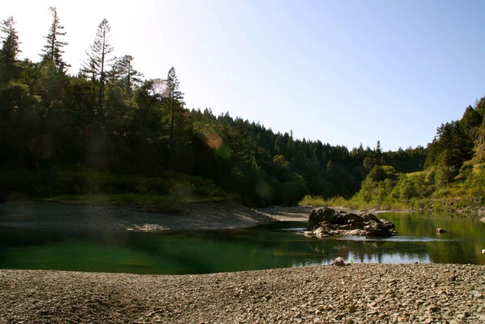 Big Basin Redwoods, por Maria Camila Bermudez