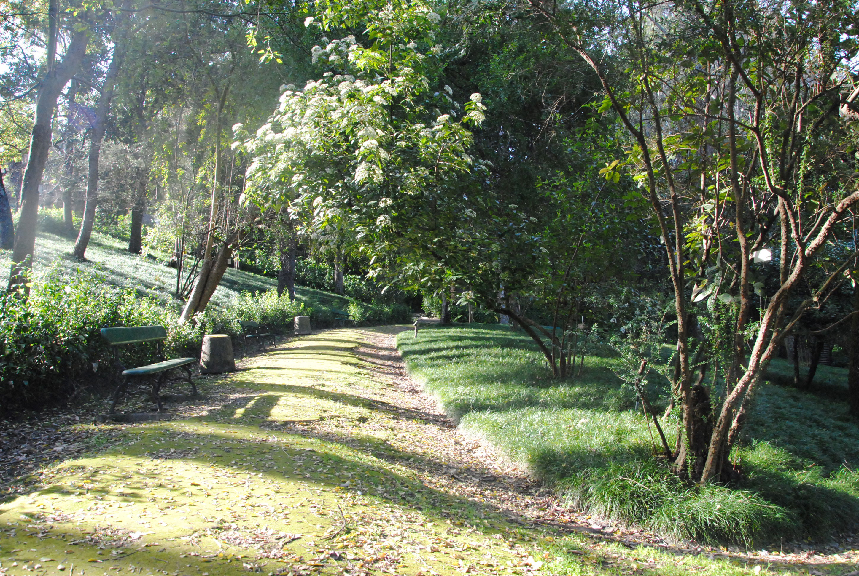 Jardín Botánico de la Universidad de Lisboa, por Antoine
