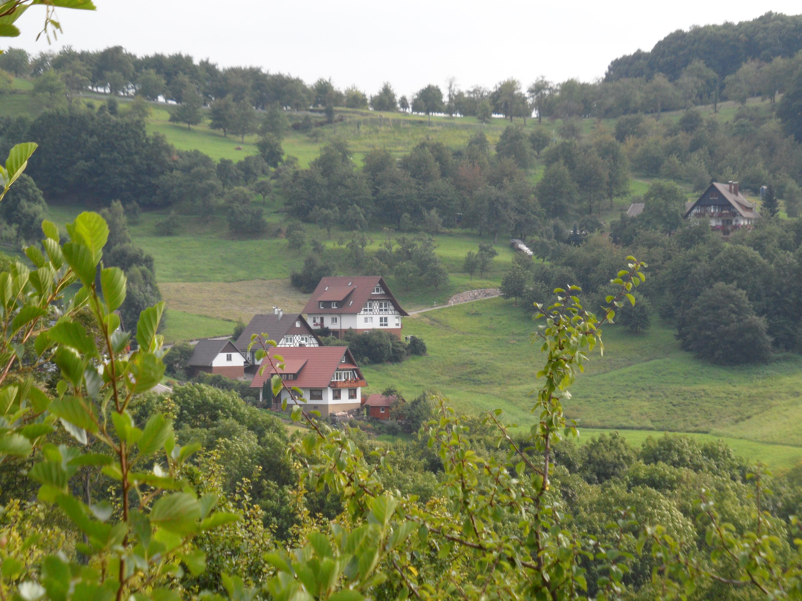 Carretera panorámica de la Selva Negra - Schwarzwaldhochstrasse, por Dónde vamos Eva