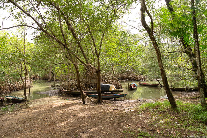 Porto Pretinhos do Mangue, por Antonio Athayde