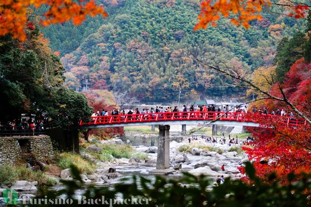 Festival de otoño (Momiji Festival), por Turismo Backpacker