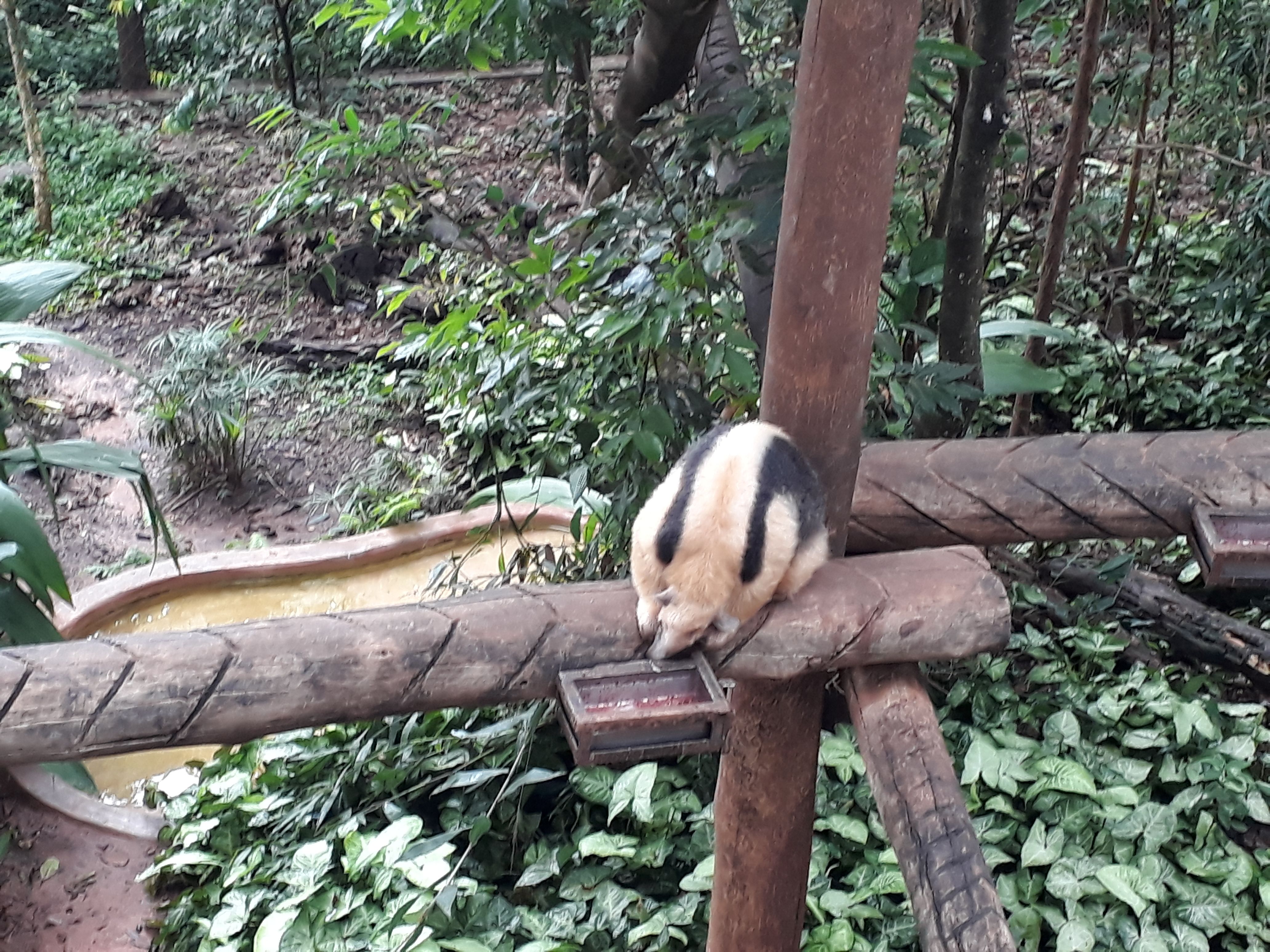 Parque Zoologico Municipal, por Sabrina Afonso