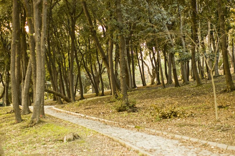 Parque Yildiz, por Sebastian Muñoz