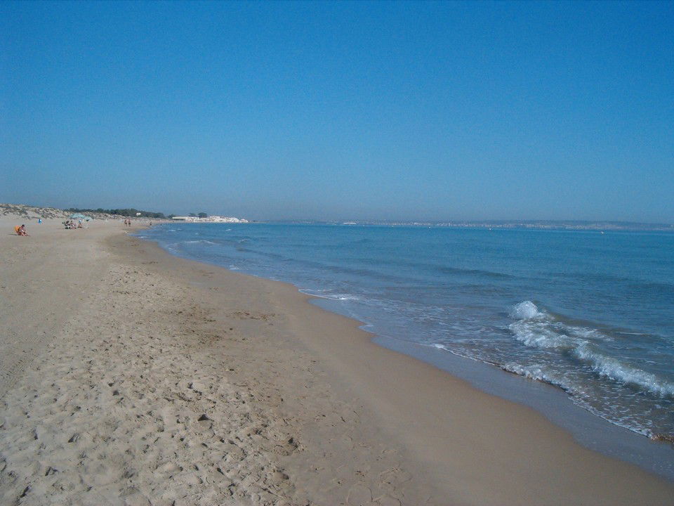 La Marina, por Zona de Playas